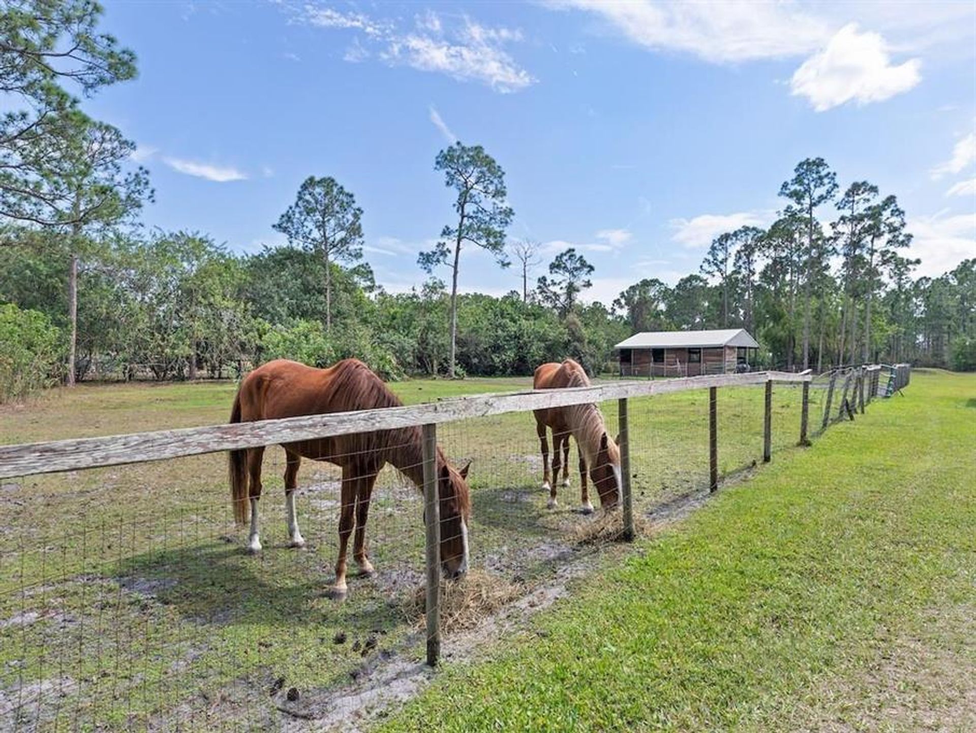 σπίτι σε Fellsmere, Florida 10182033