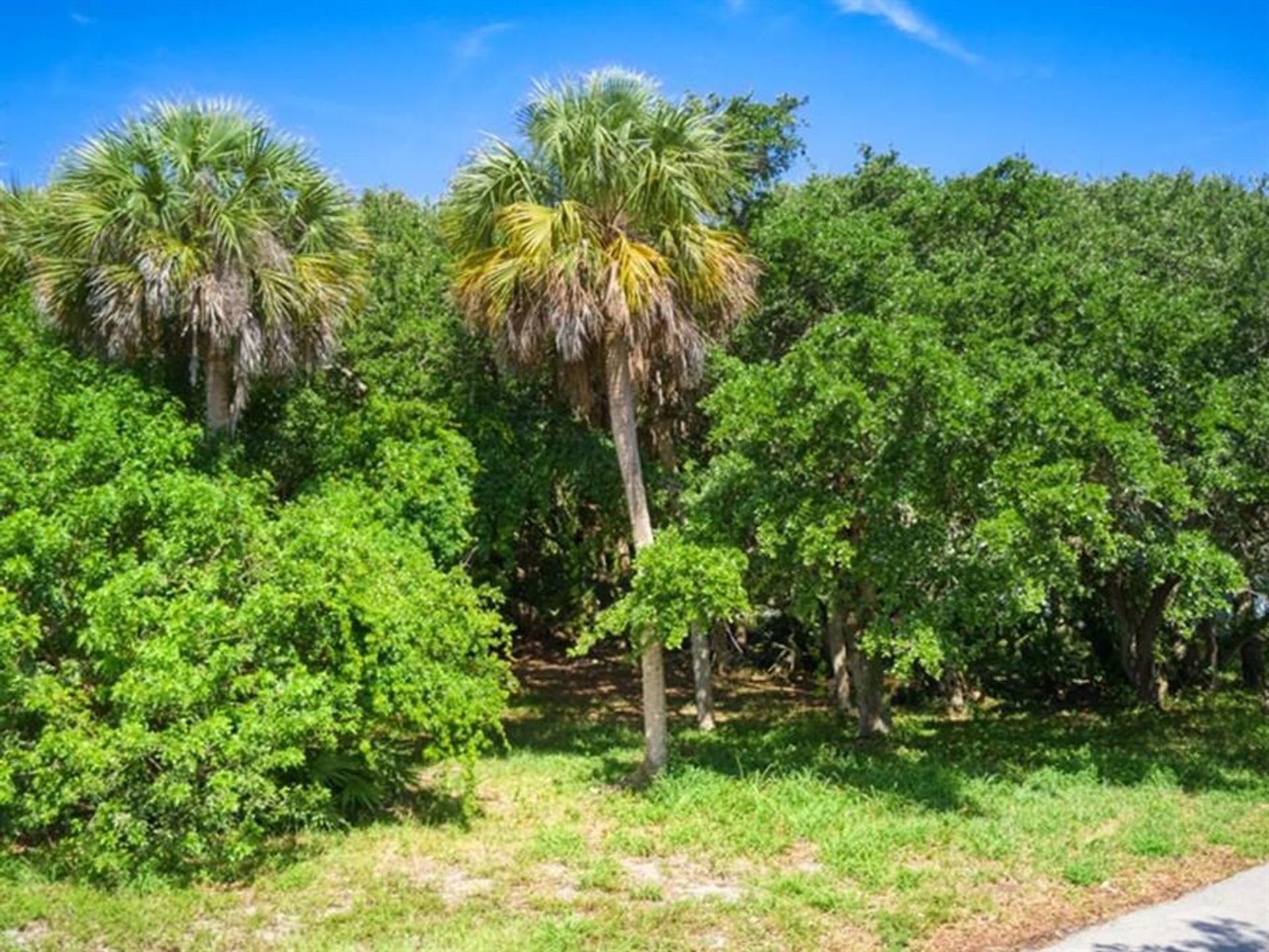 Земельные участки в Vero Beach, Florida 10182250