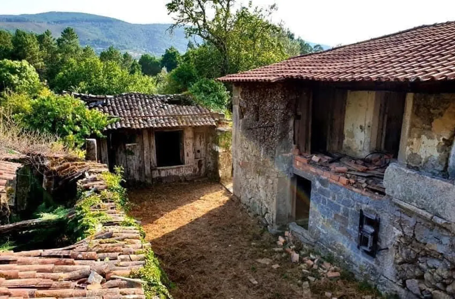 Hus i Feiposa, Viana do Castelo 10183387