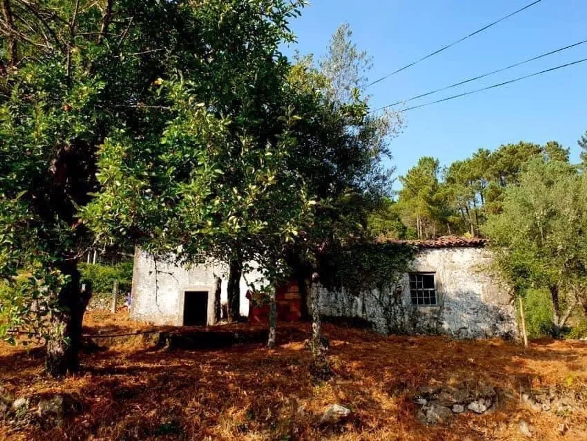 Hus i Feiposa, Viana do Castelo 10183387