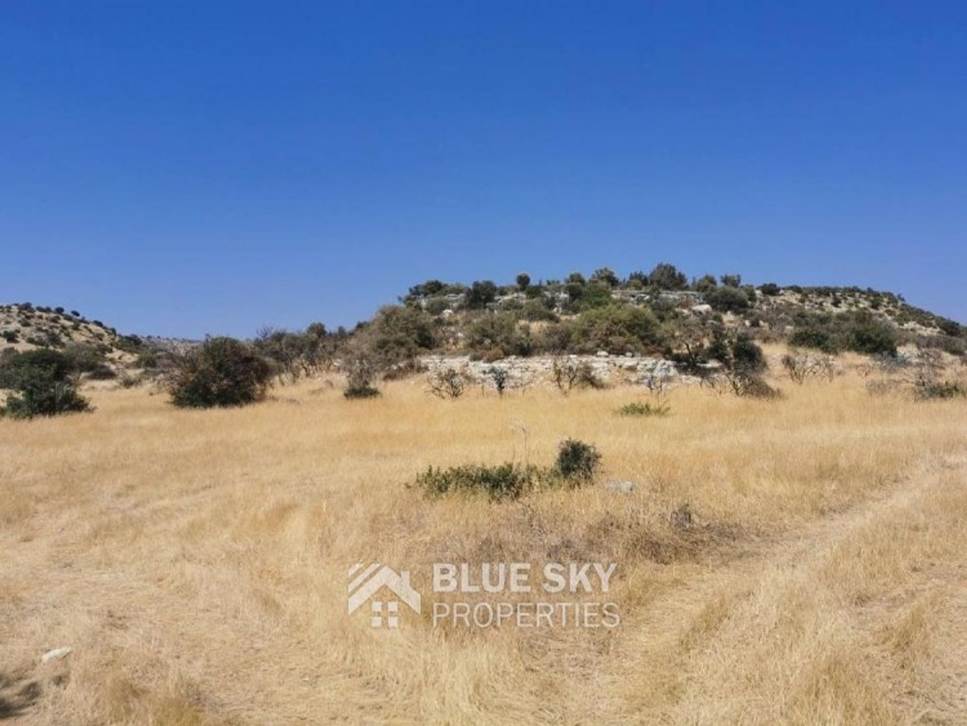 Land in Pampoula, Lemesos 10183492