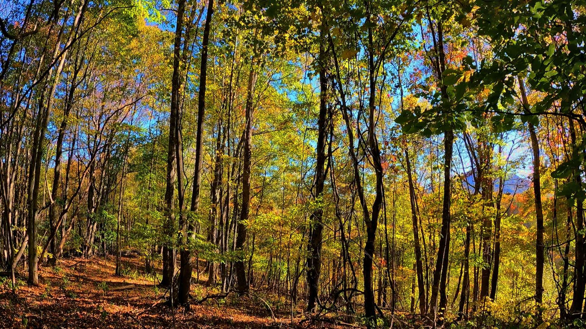 Кондоминиум в Creston, North Carolina 10190961