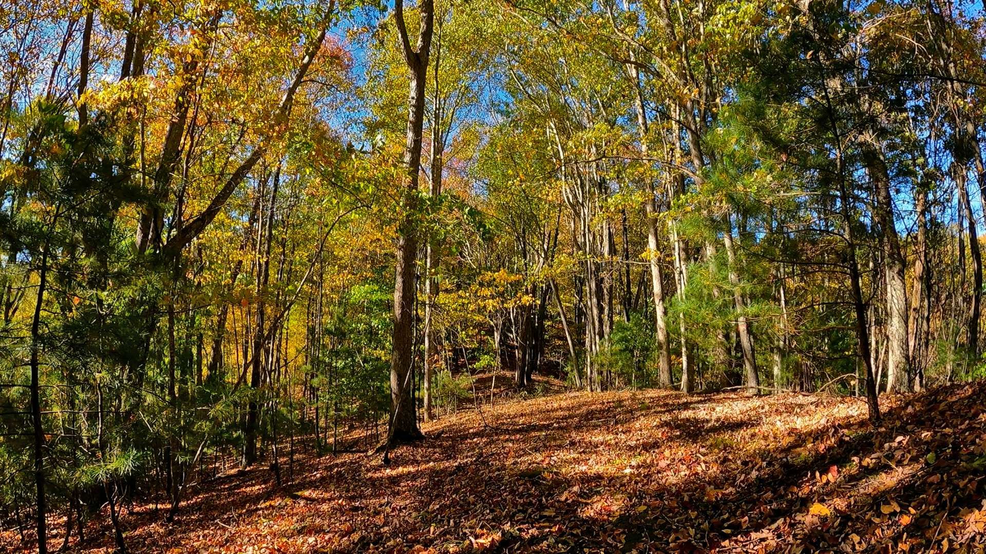 Кондоминиум в Creston, North Carolina 10190961