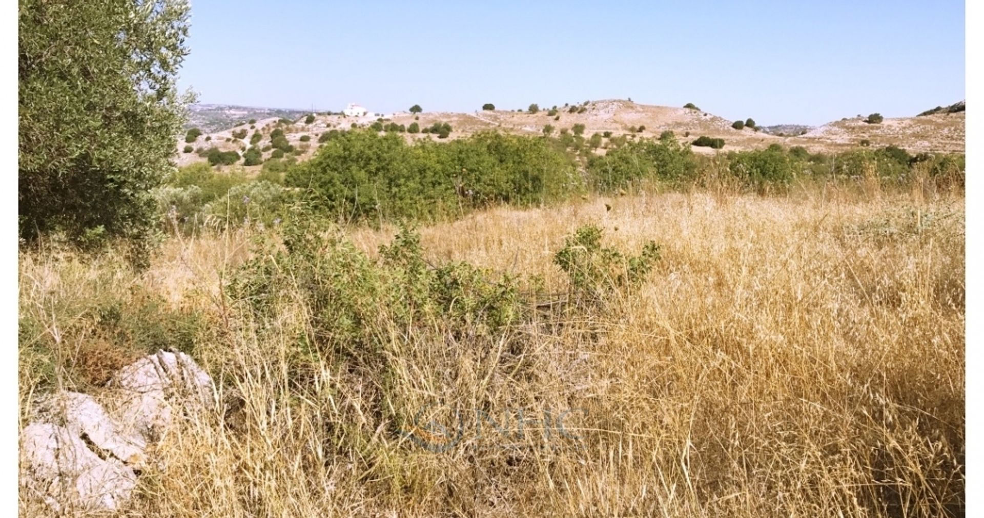 Land in Mesa Chorio, Pafos 10191006