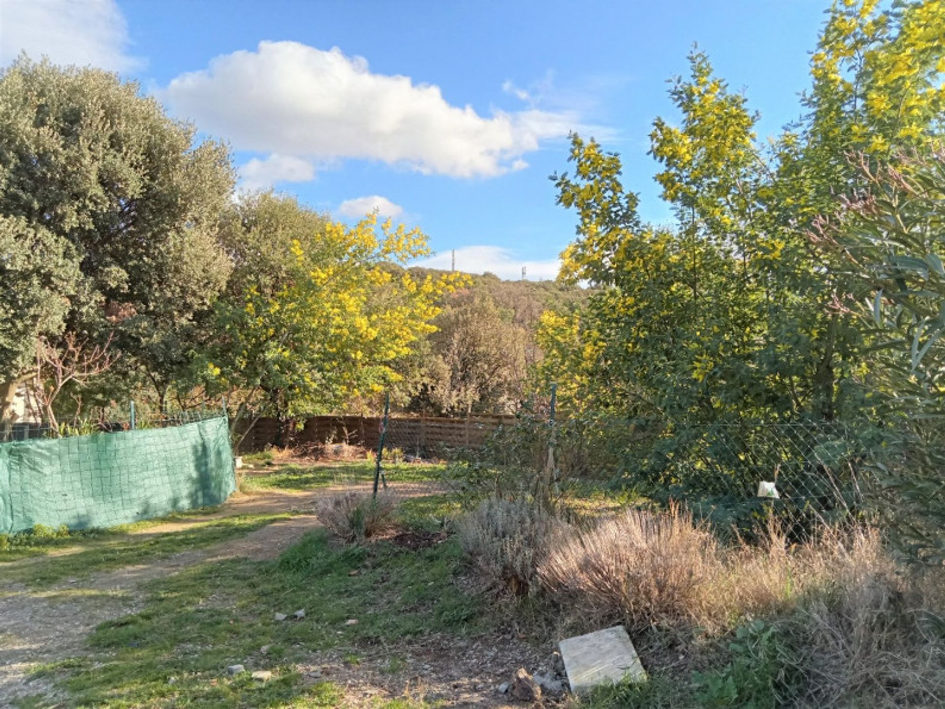 casa no Laurens, Occitanie 10191024