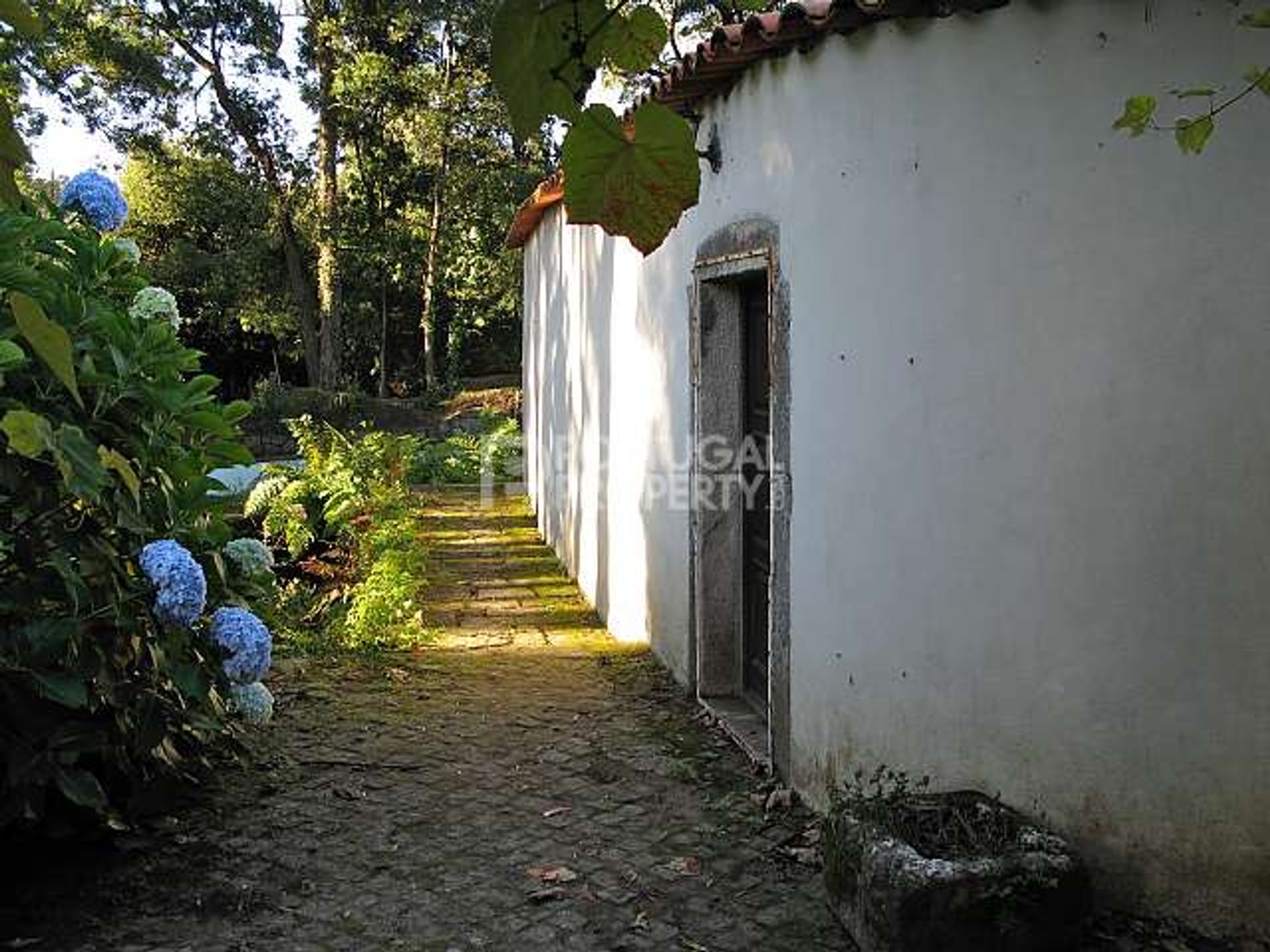 Будинок в Porto, Porto District 10191036