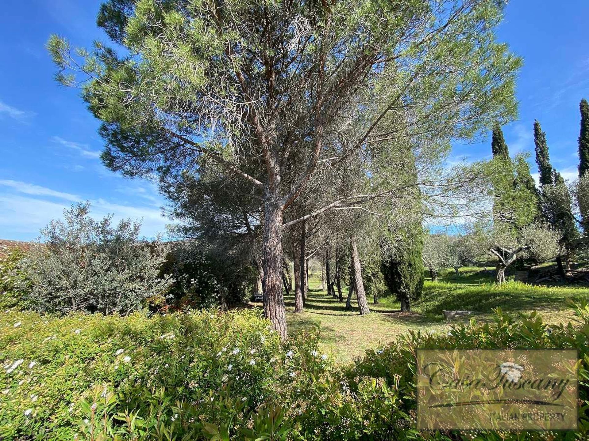 Casa nel Cortona, Tuscany 10191041