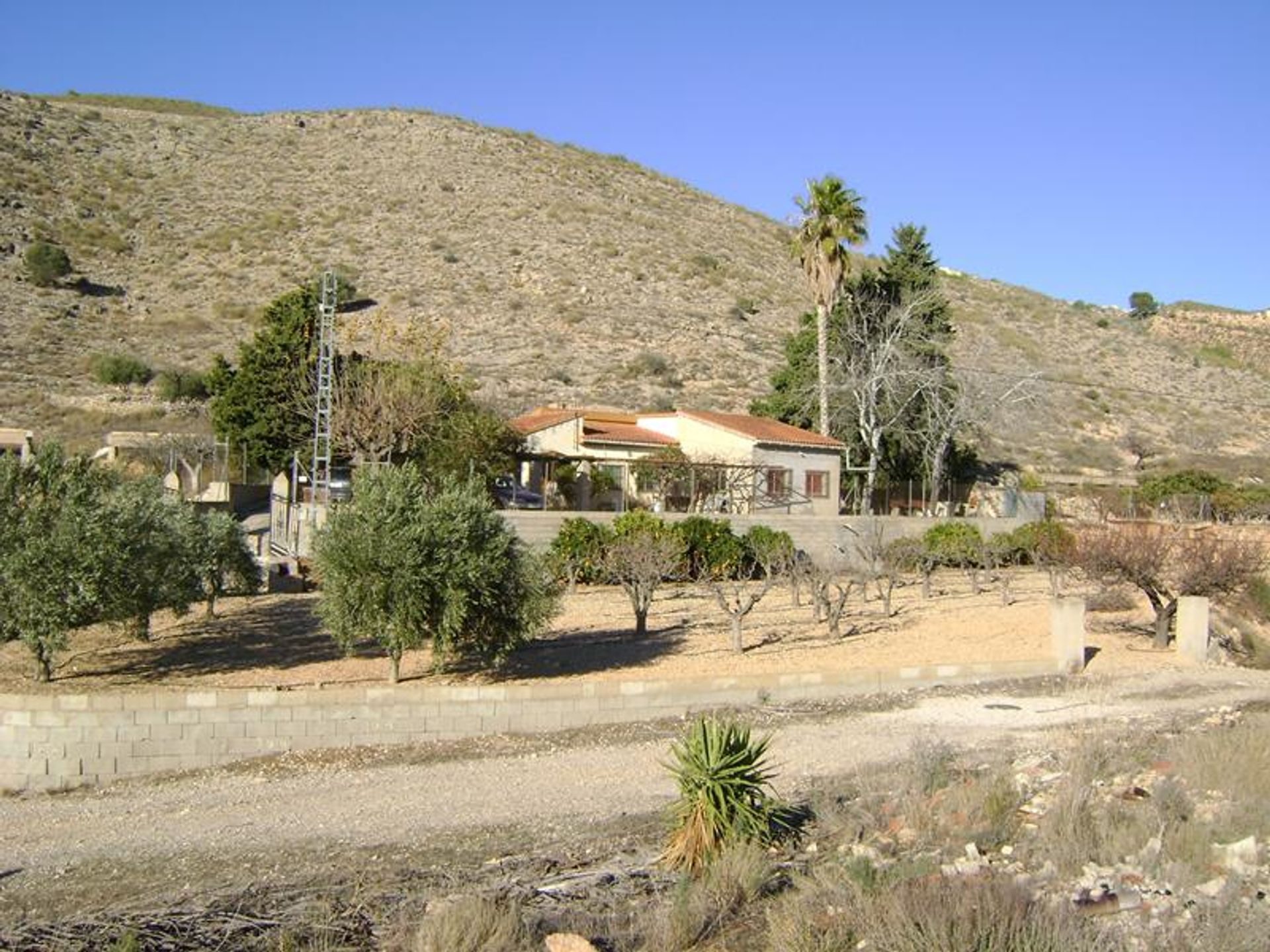 Hus i El Fondó de les Neus, Valencian Community 10191203