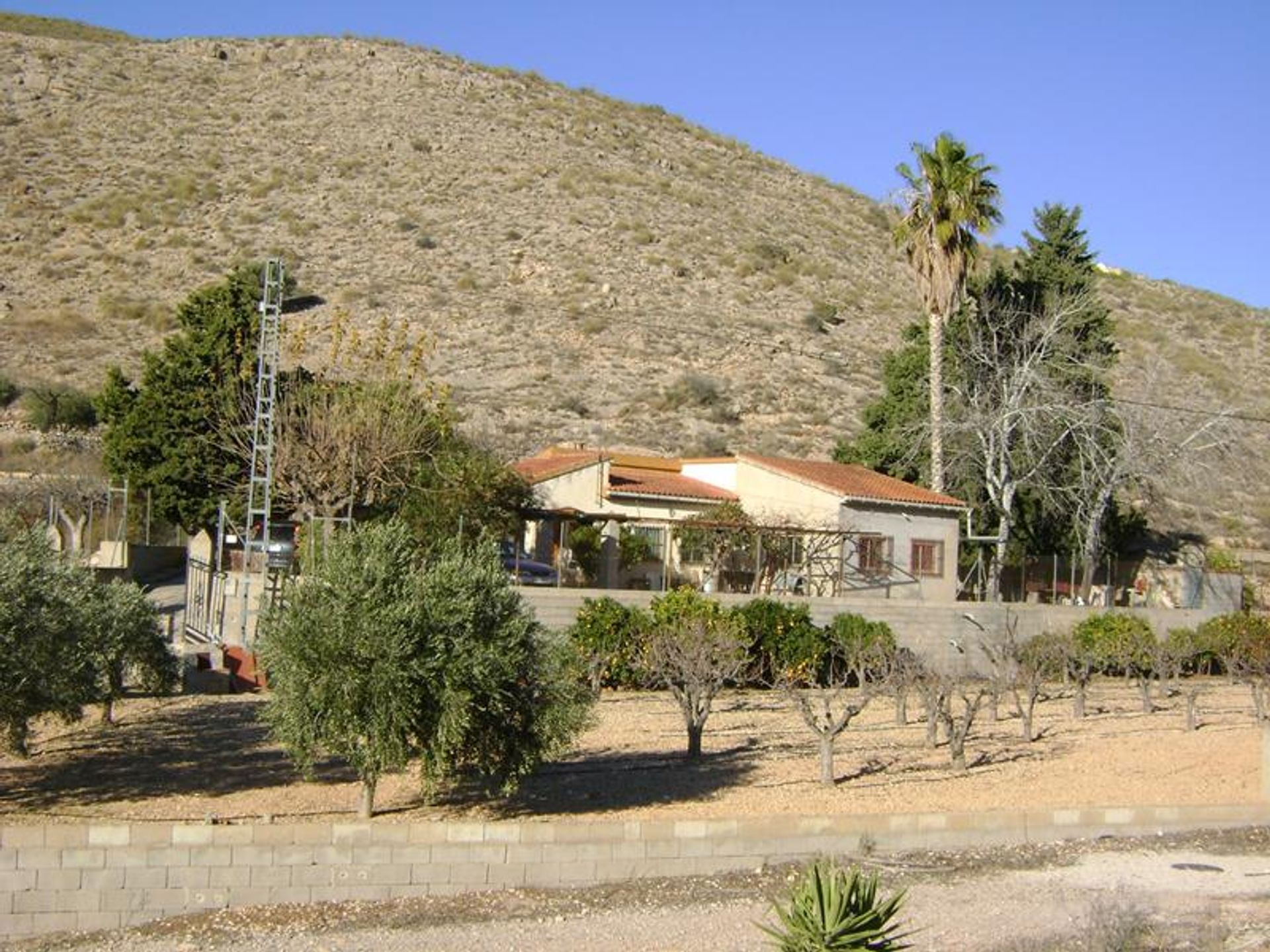 Hus i El Fondó de les Neus, Valencian Community 10191203