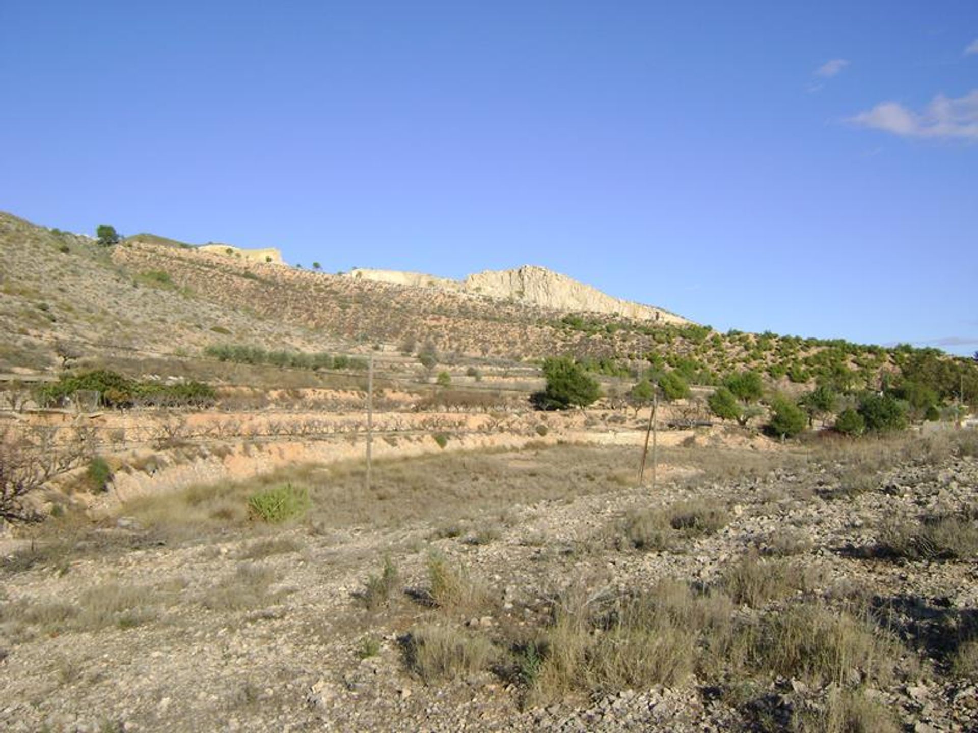 Hus i El Fondó de les Neus, Valencian Community 10191203