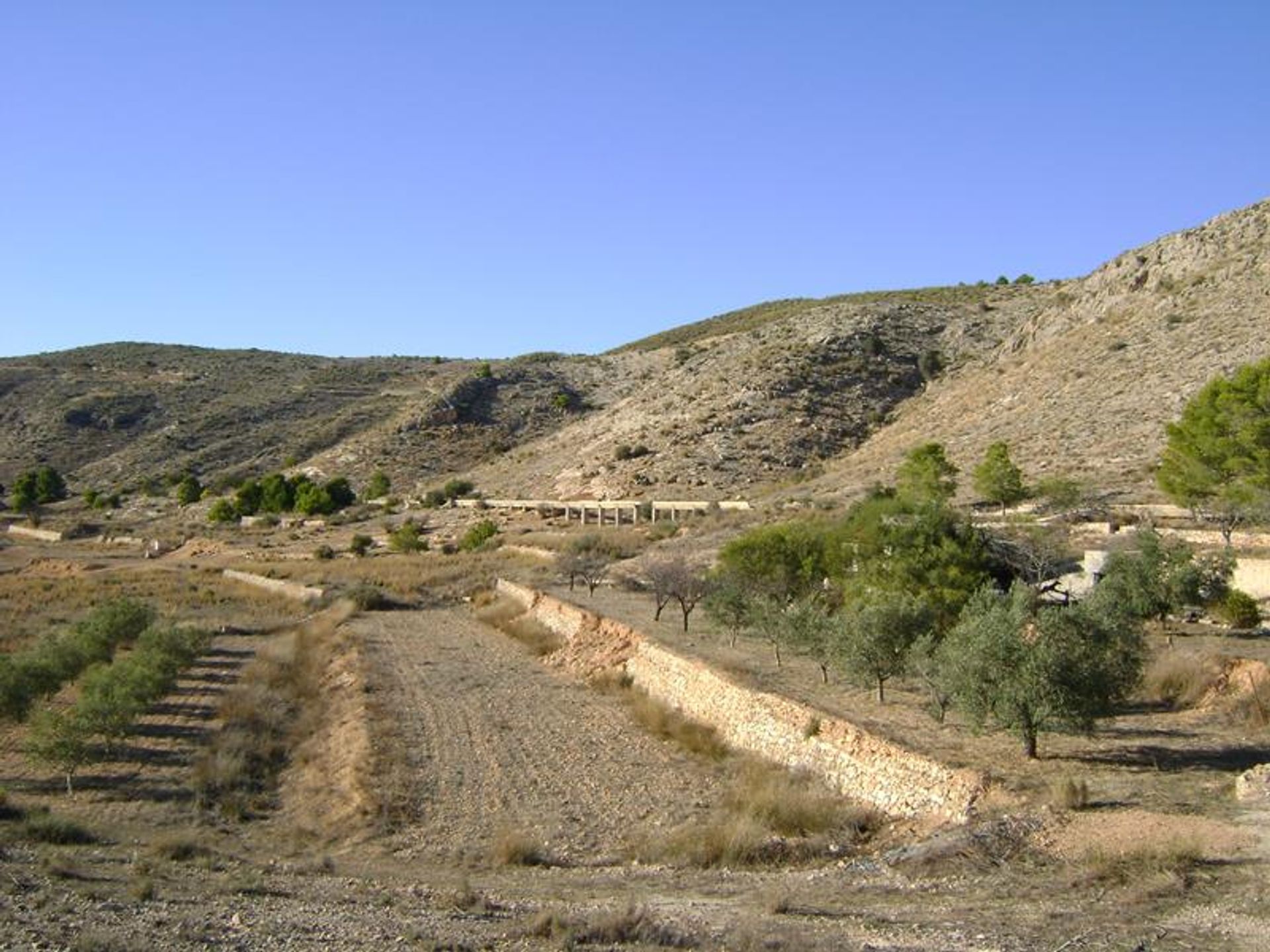 Hus i El Fondó de les Neus, Valencian Community 10191203