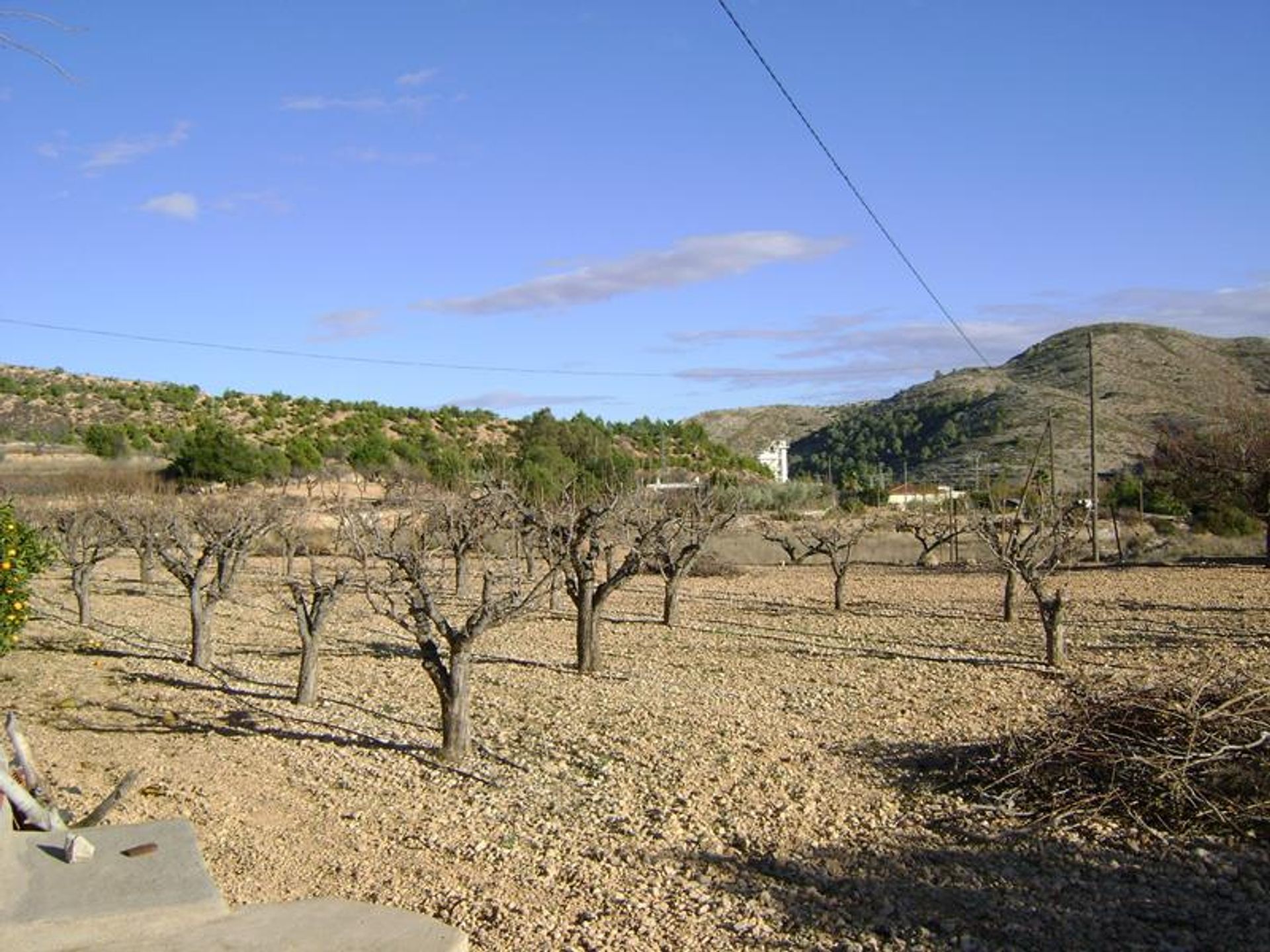 Hus i El Fondó de les Neus, Valencian Community 10191203