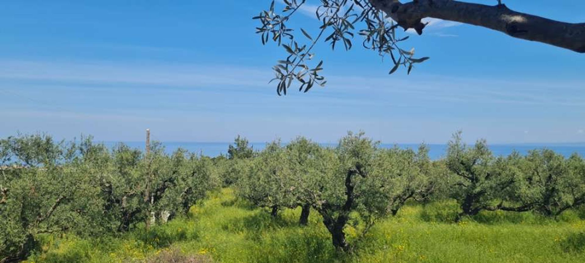 Terra no Zakinthos,  10191215