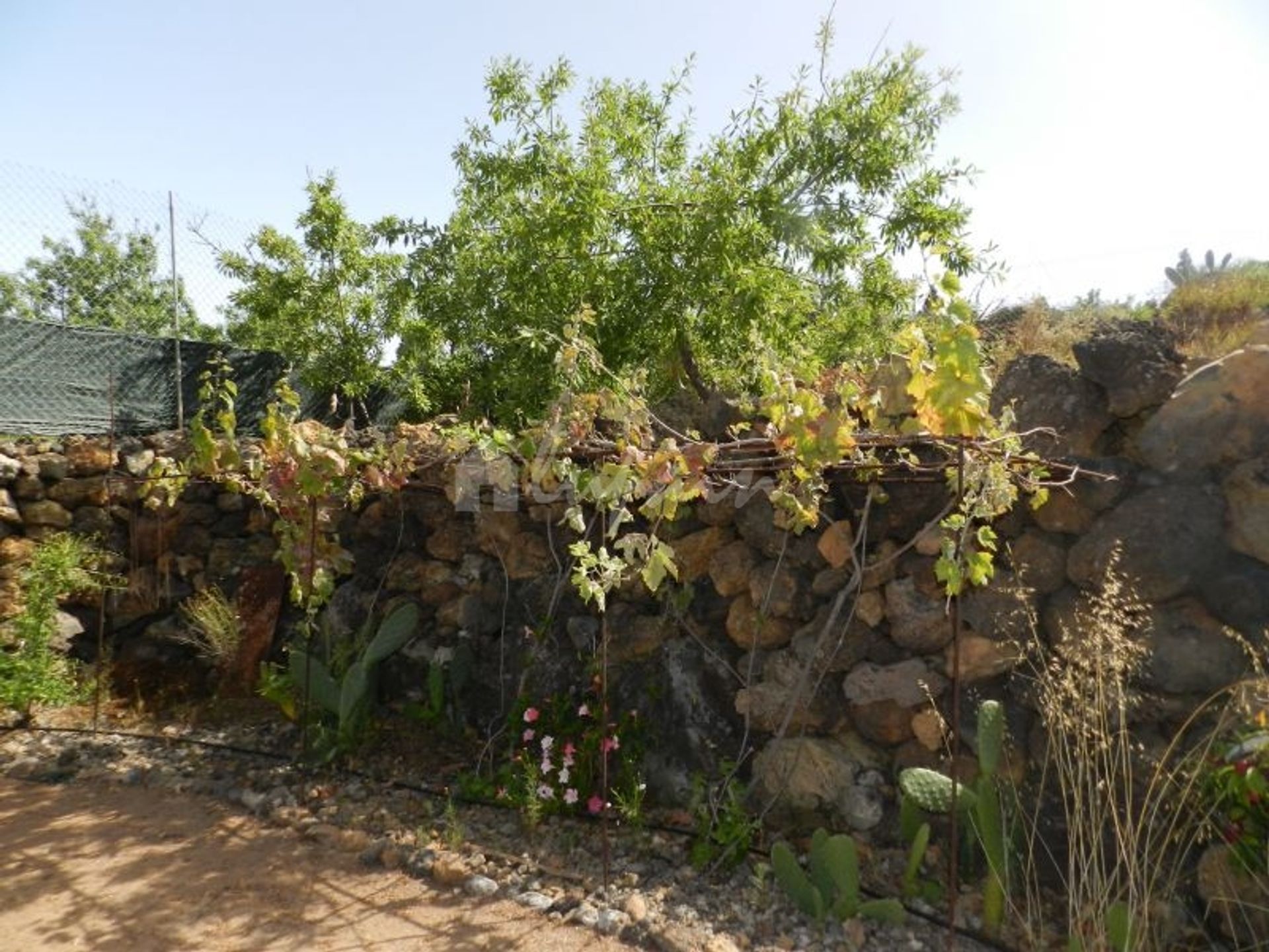 casa en Chío, Canarias 10191394