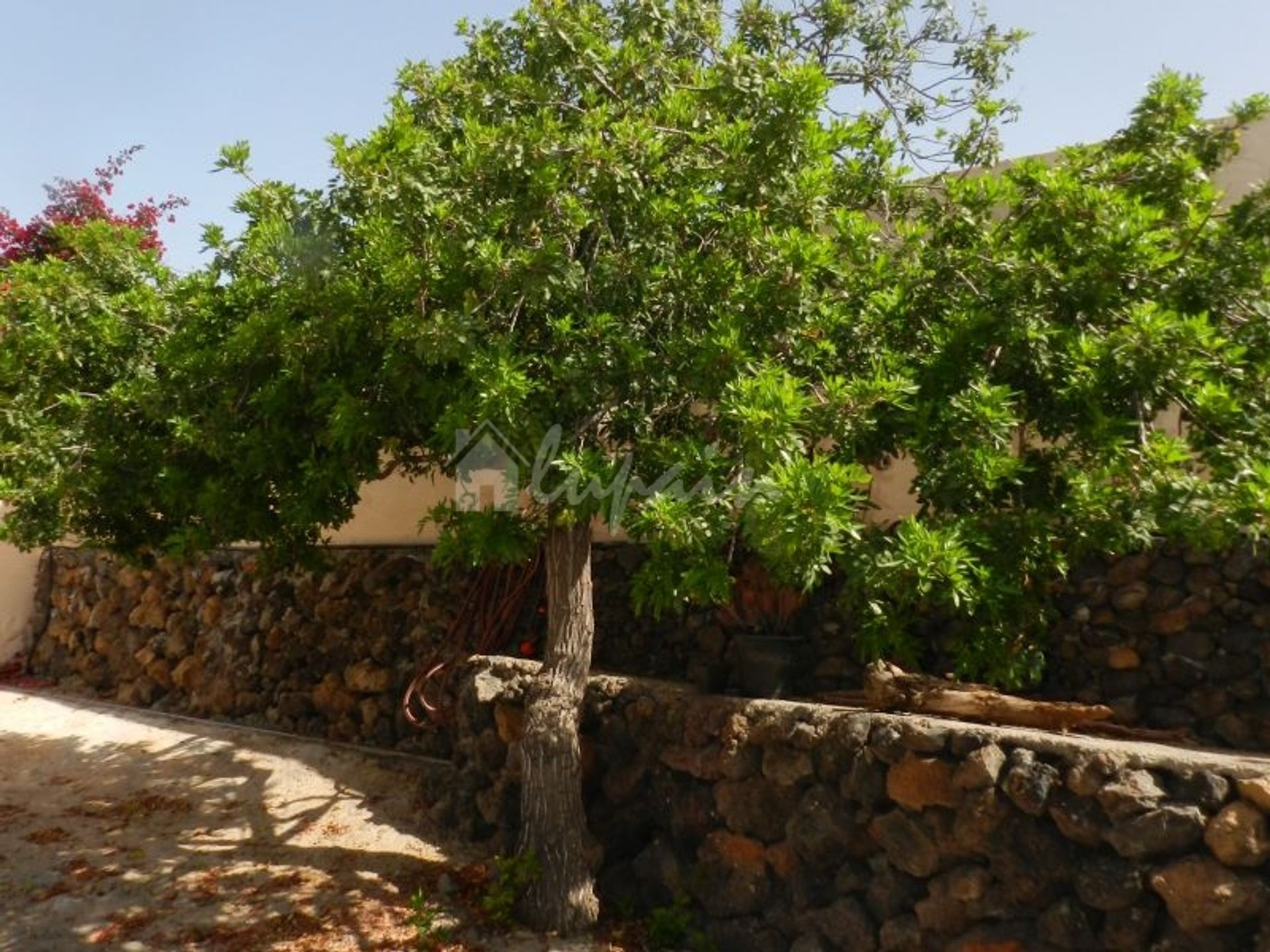 Rumah di Chío, Canarias 10191394