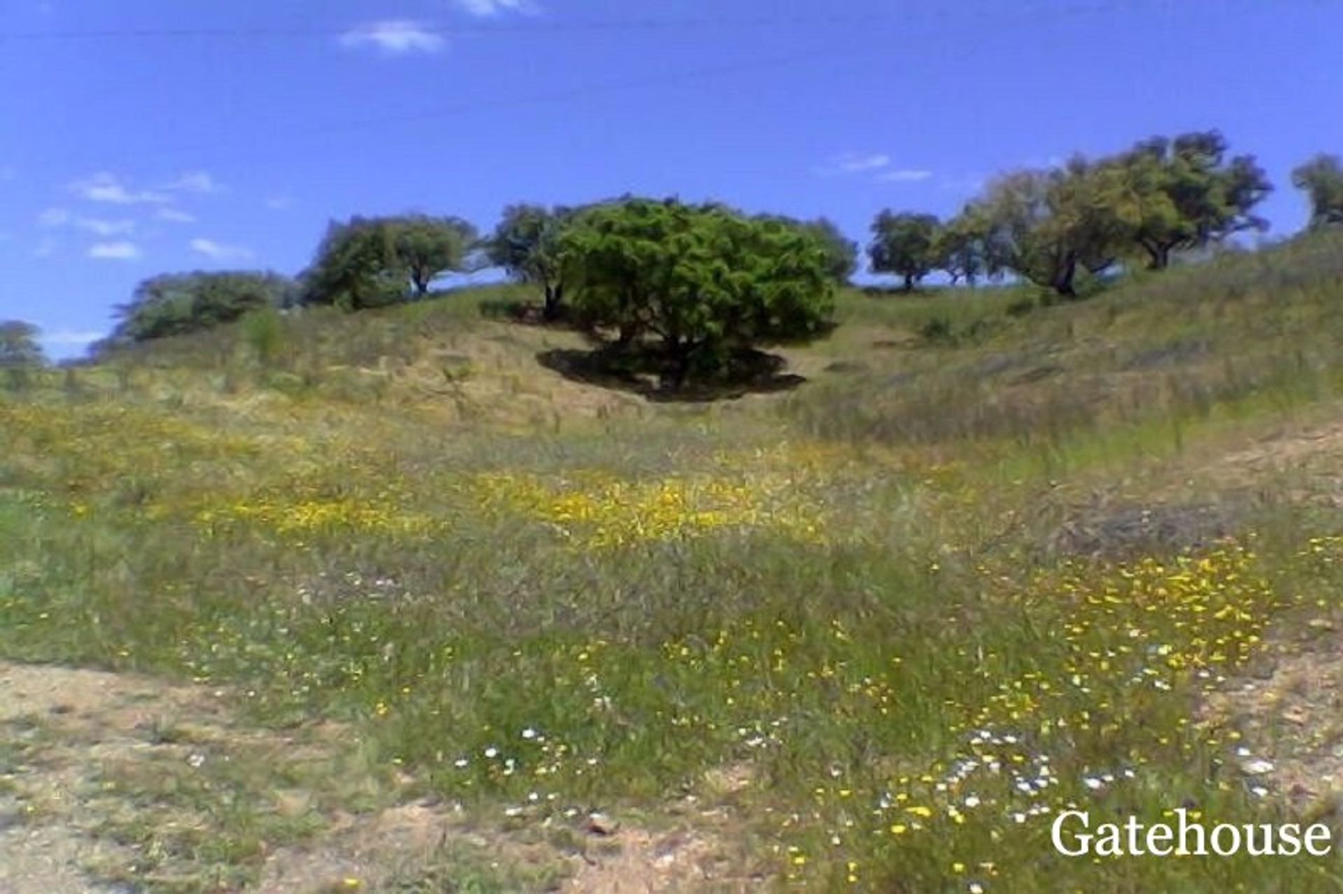 בַּיִת ב São Bartolomeu de Messines, Faro District 10191547