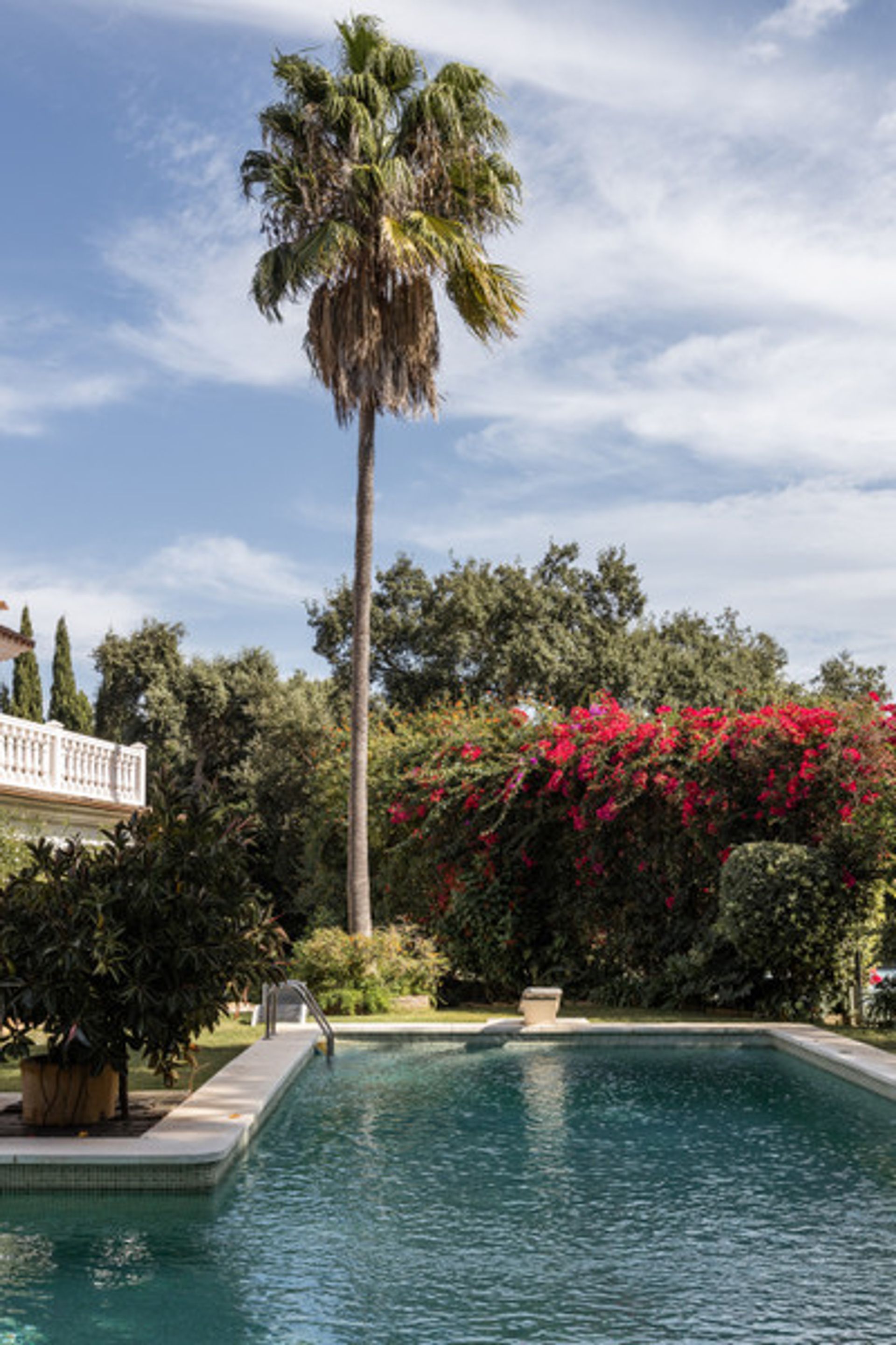 Casa nel Sotogrande, Andalusia 10191952