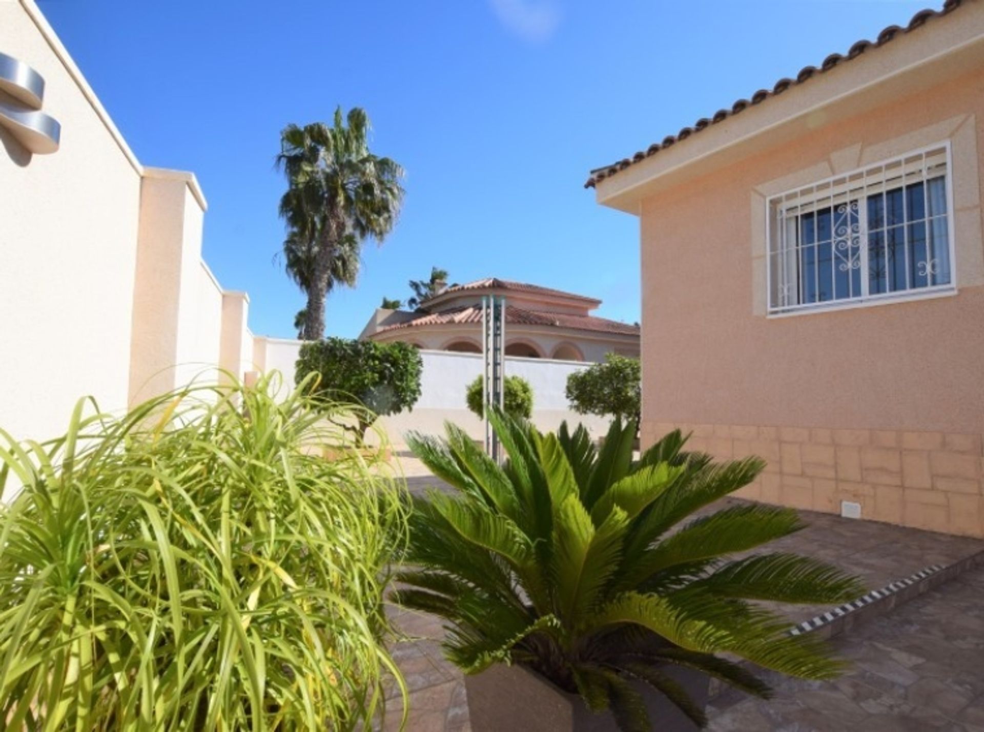 Huis in Benijófar, Valencian Community 10192425