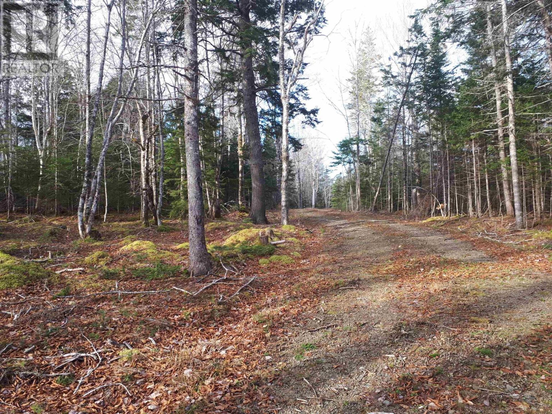 Γη σε River Denys, Nova Scotia 10192980