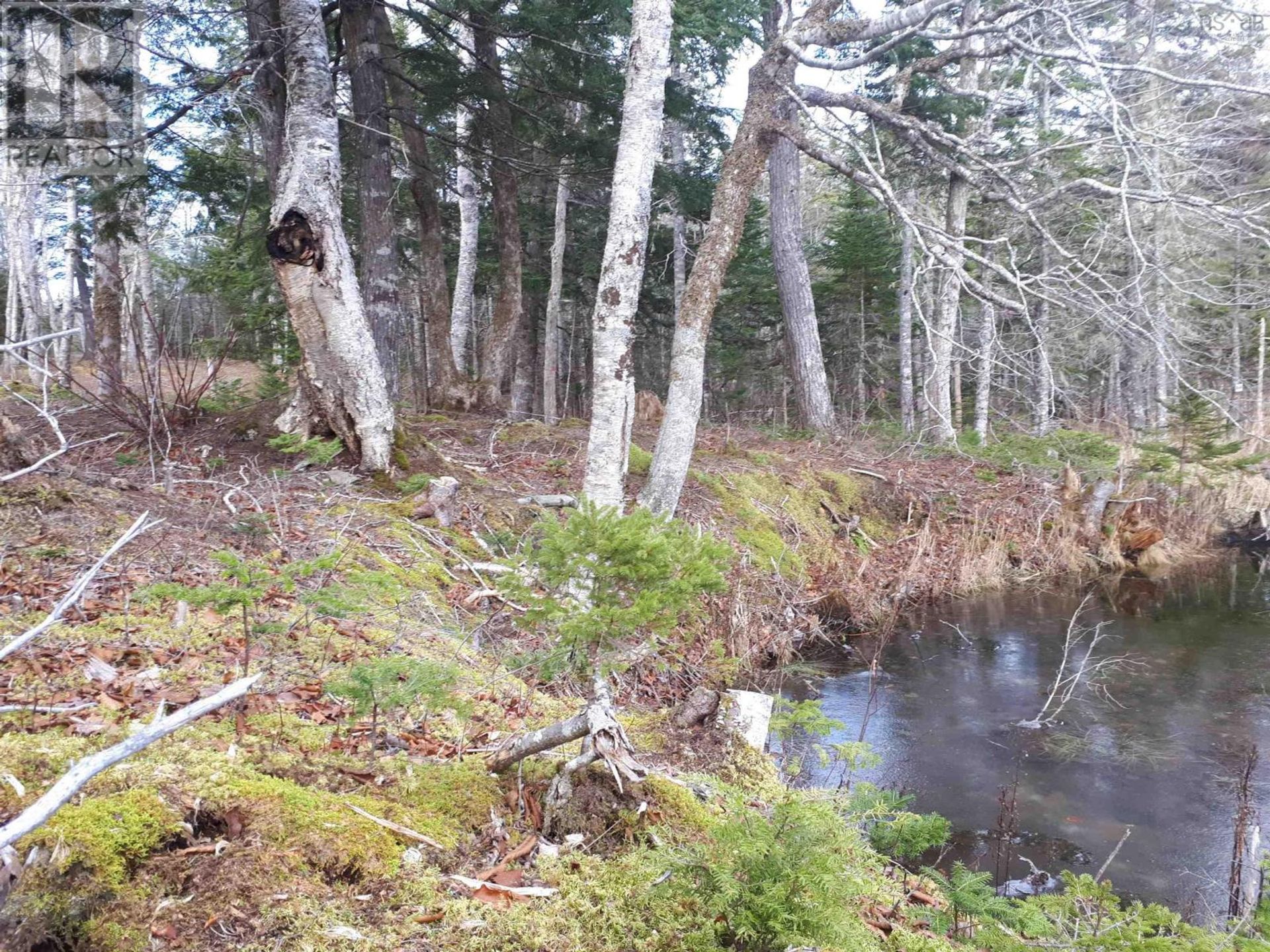 Γη σε River Denys, Nova Scotia 10192980