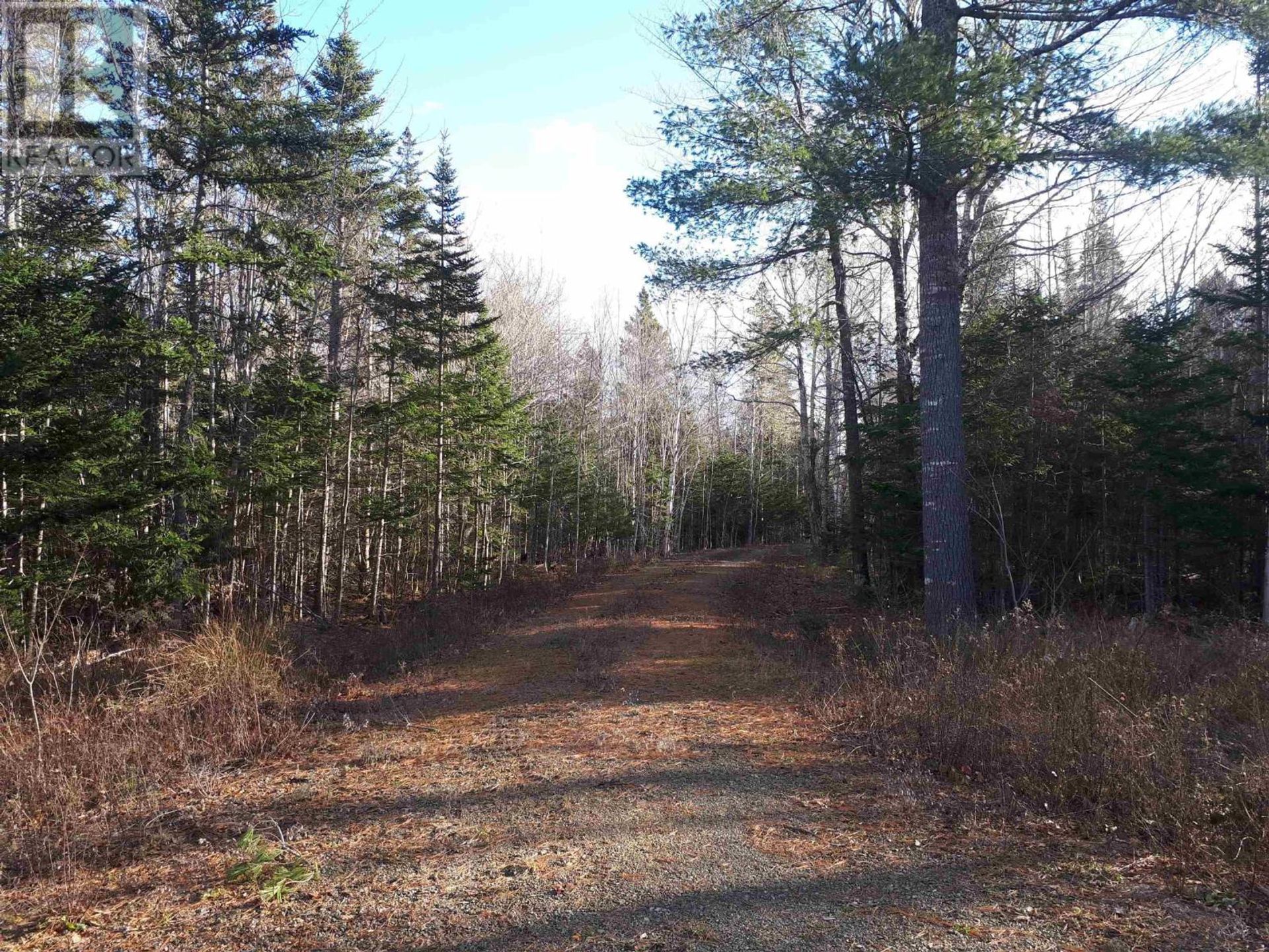 Γη σε River Denys, Nova Scotia 10192980