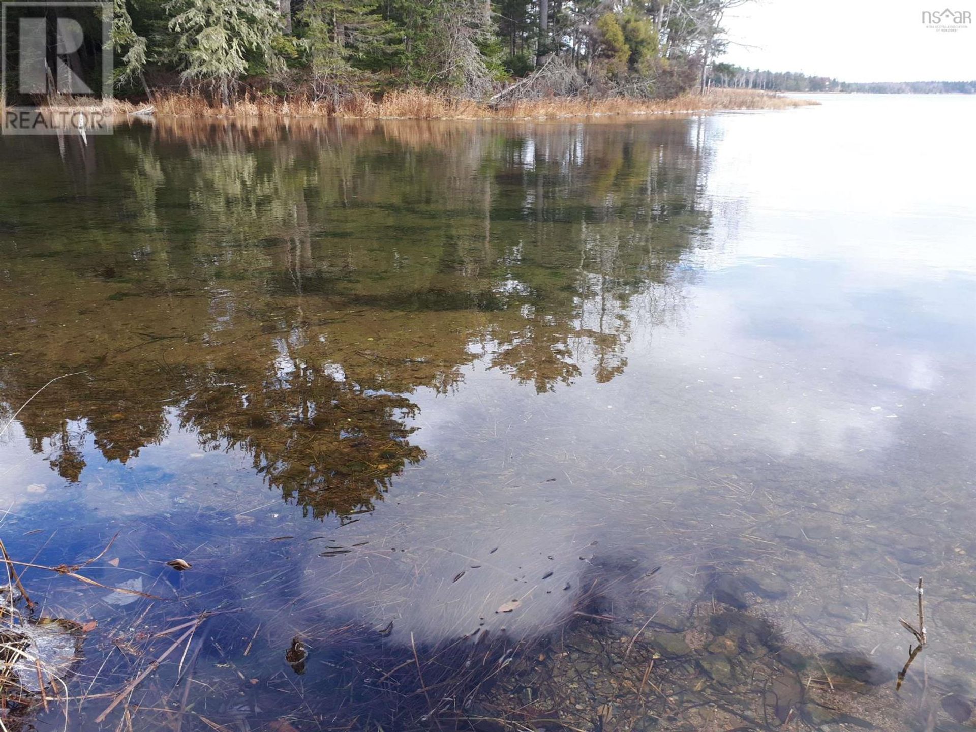 Γη σε River Denys, Nova Scotia 10192980