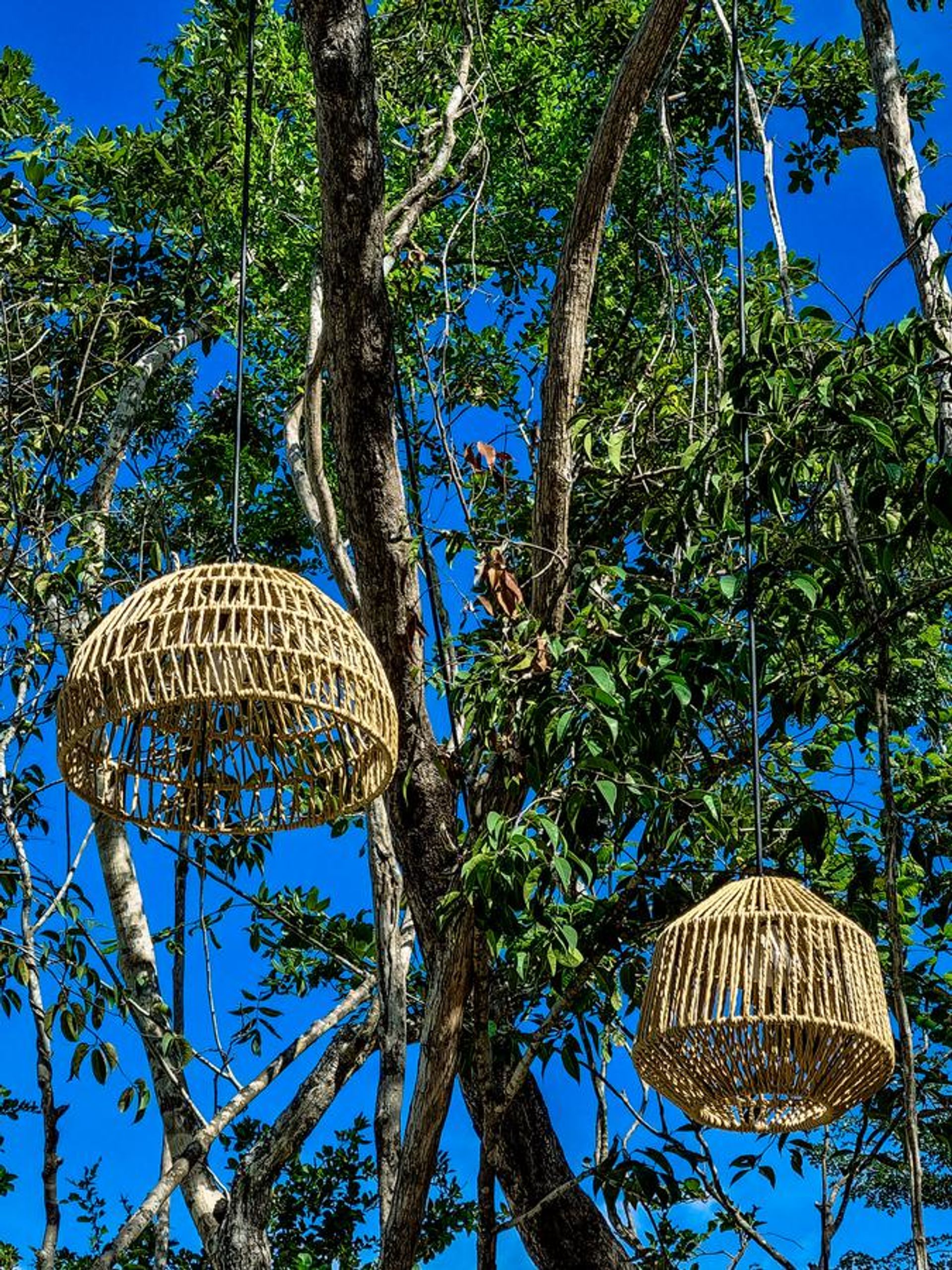 عمارات في , Quintana Roo 10193289