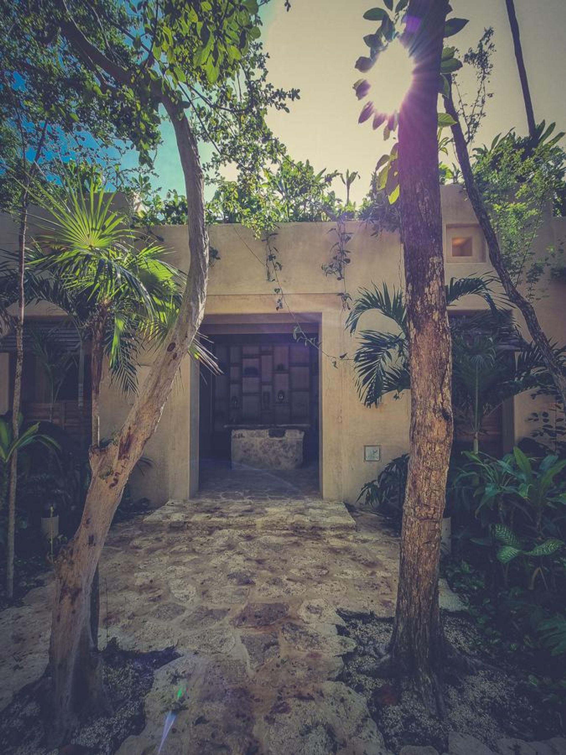 عمارات في , Quintana Roo 10193309