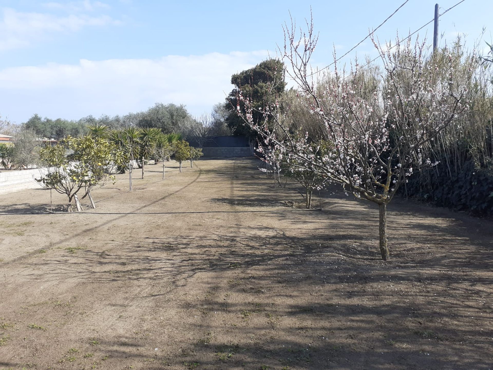 房子 在 , Sardegna 10193414