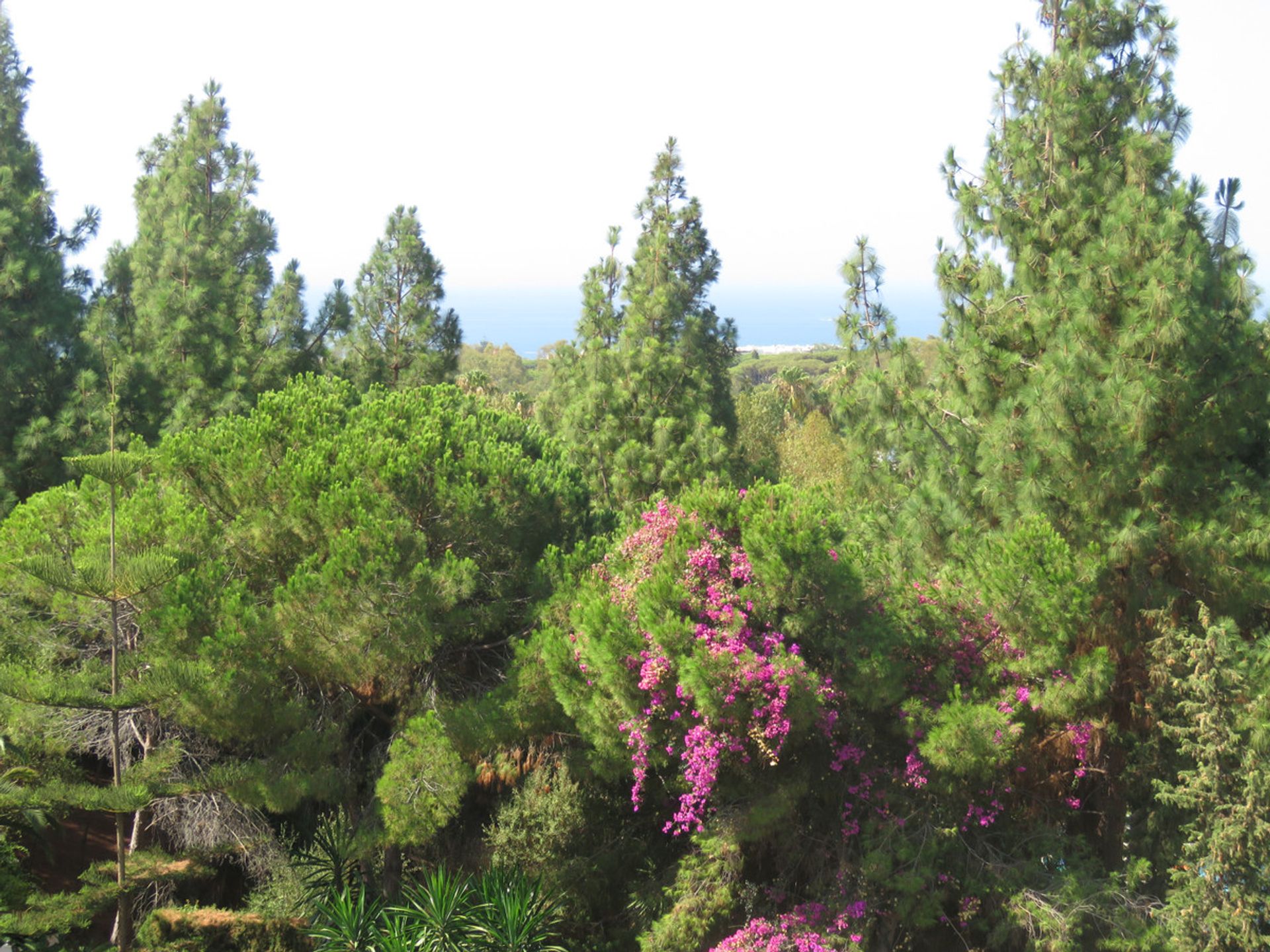 Dom w Sitio de Calahonda, Andalusia 10194557