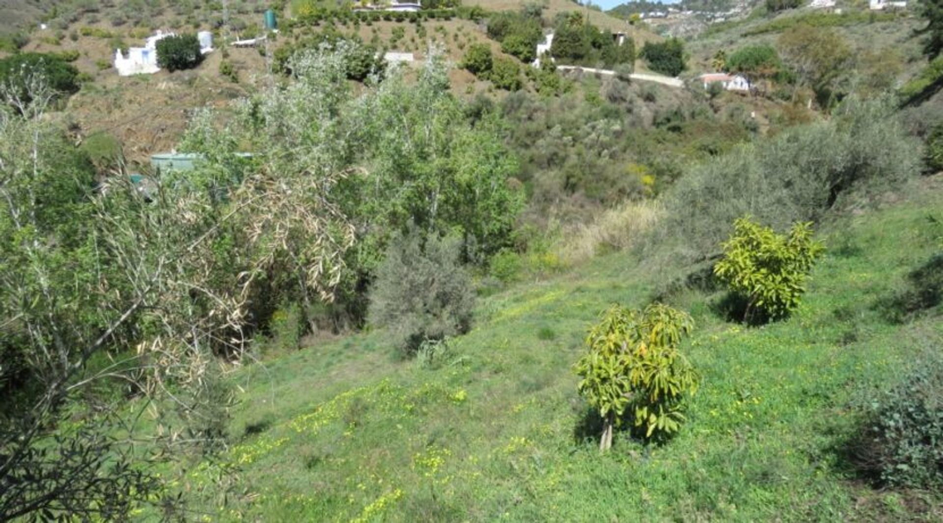 loger dans Cómpeta, Andalusia 10194896