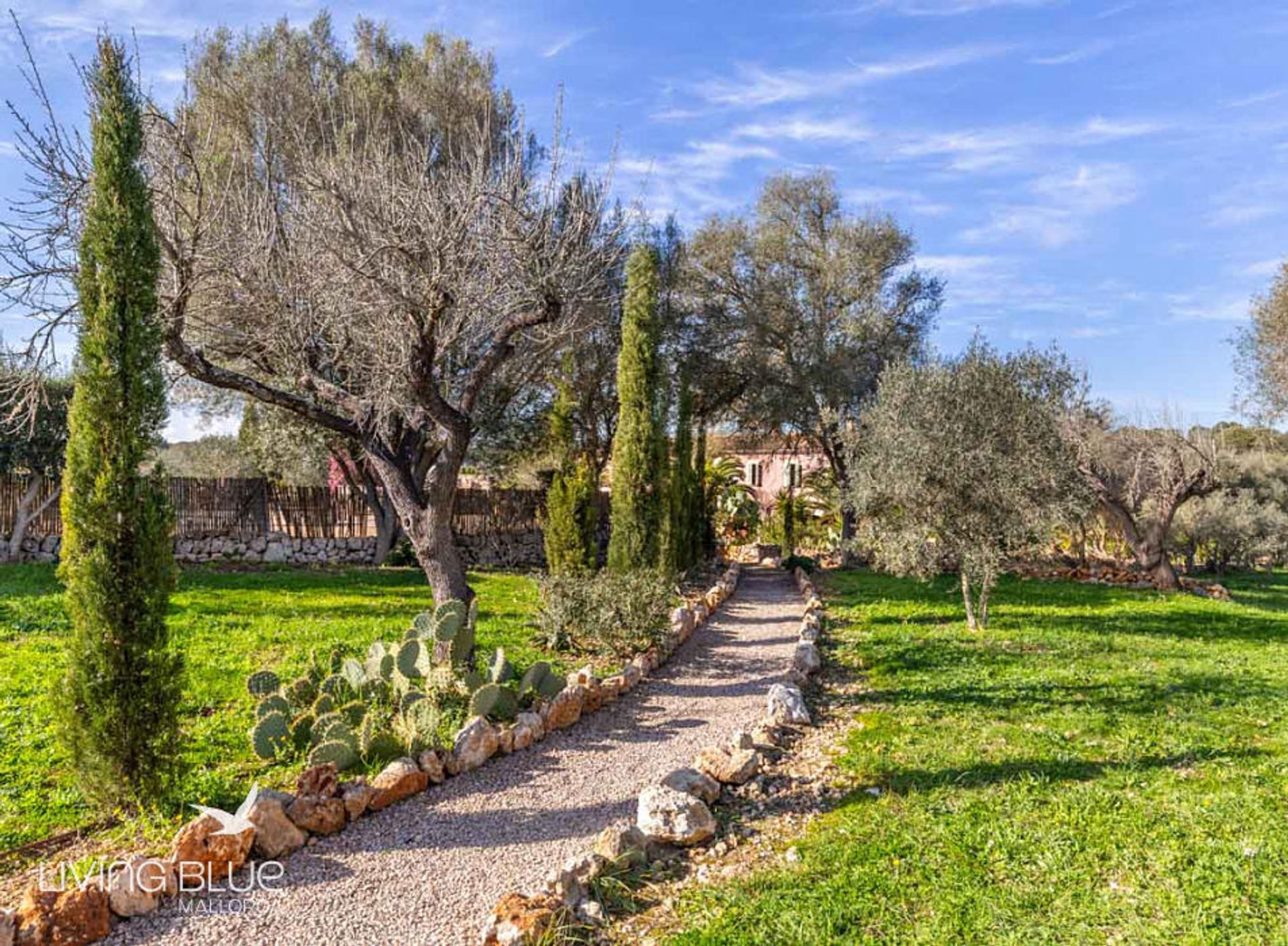 Detaljhandel i Costitx, Balearic Islands 10194963