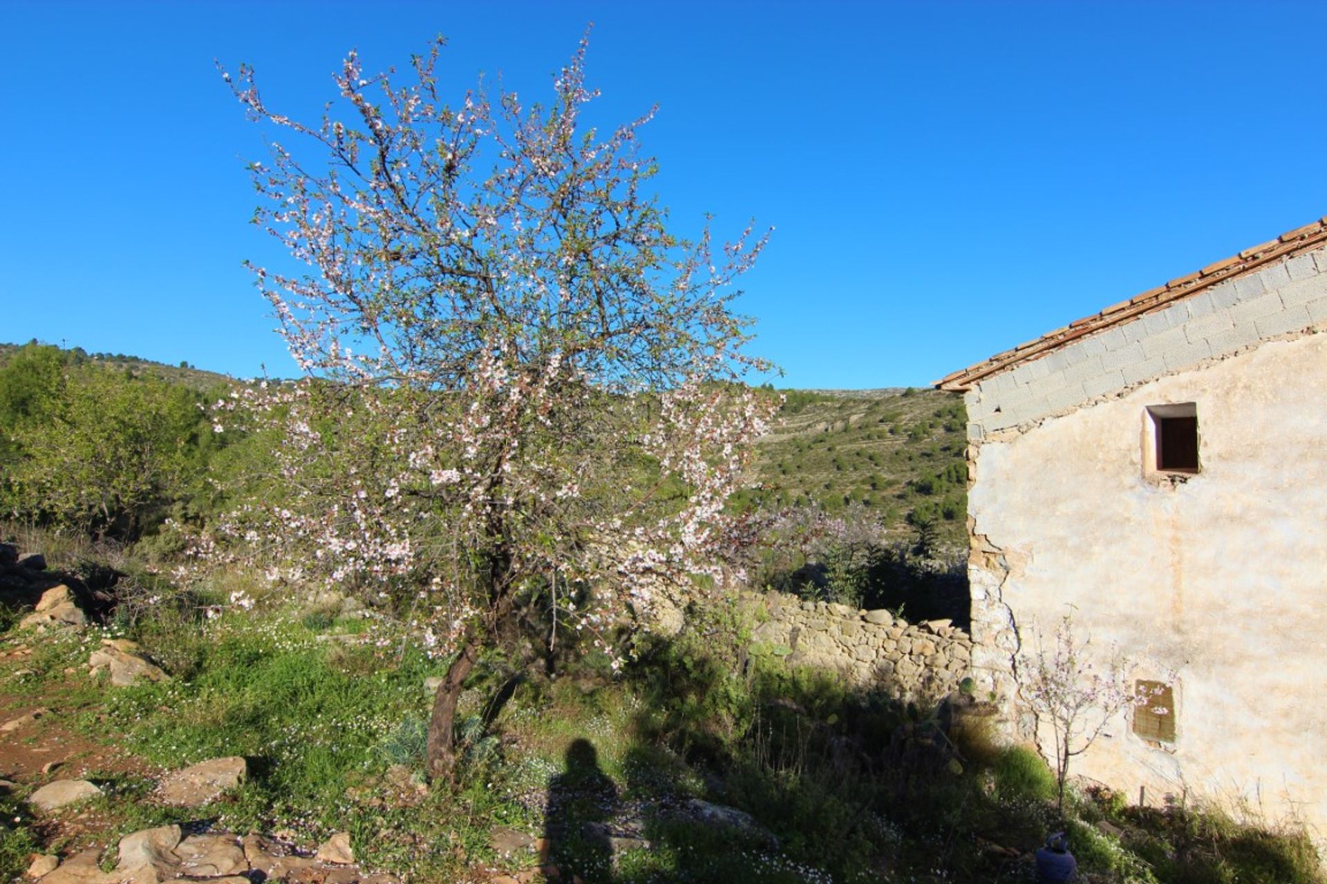 Hus i Benisa, Comunidad Valenciana 10195040