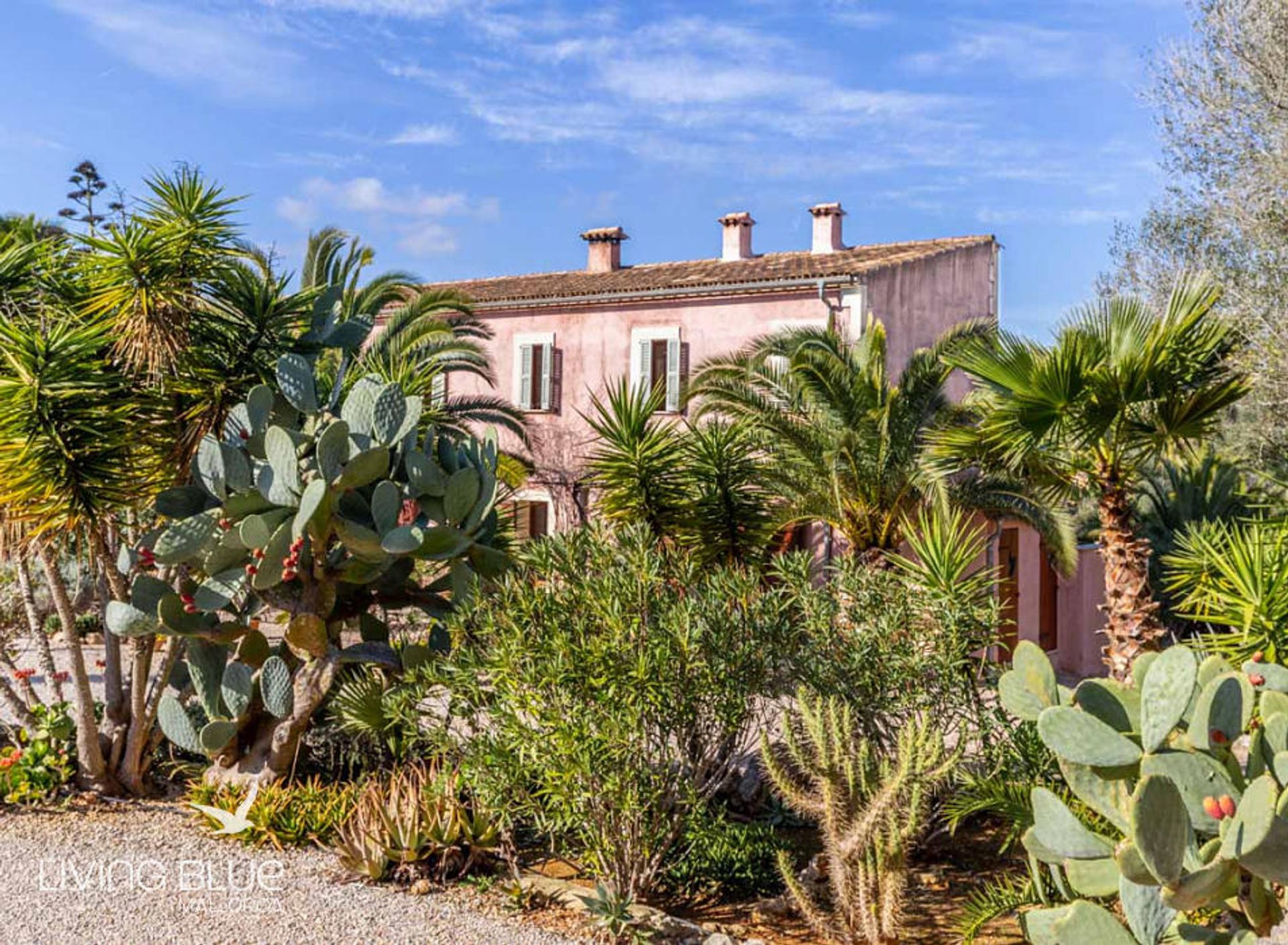 Détail dans Costitx, Balearic Islands 10195129