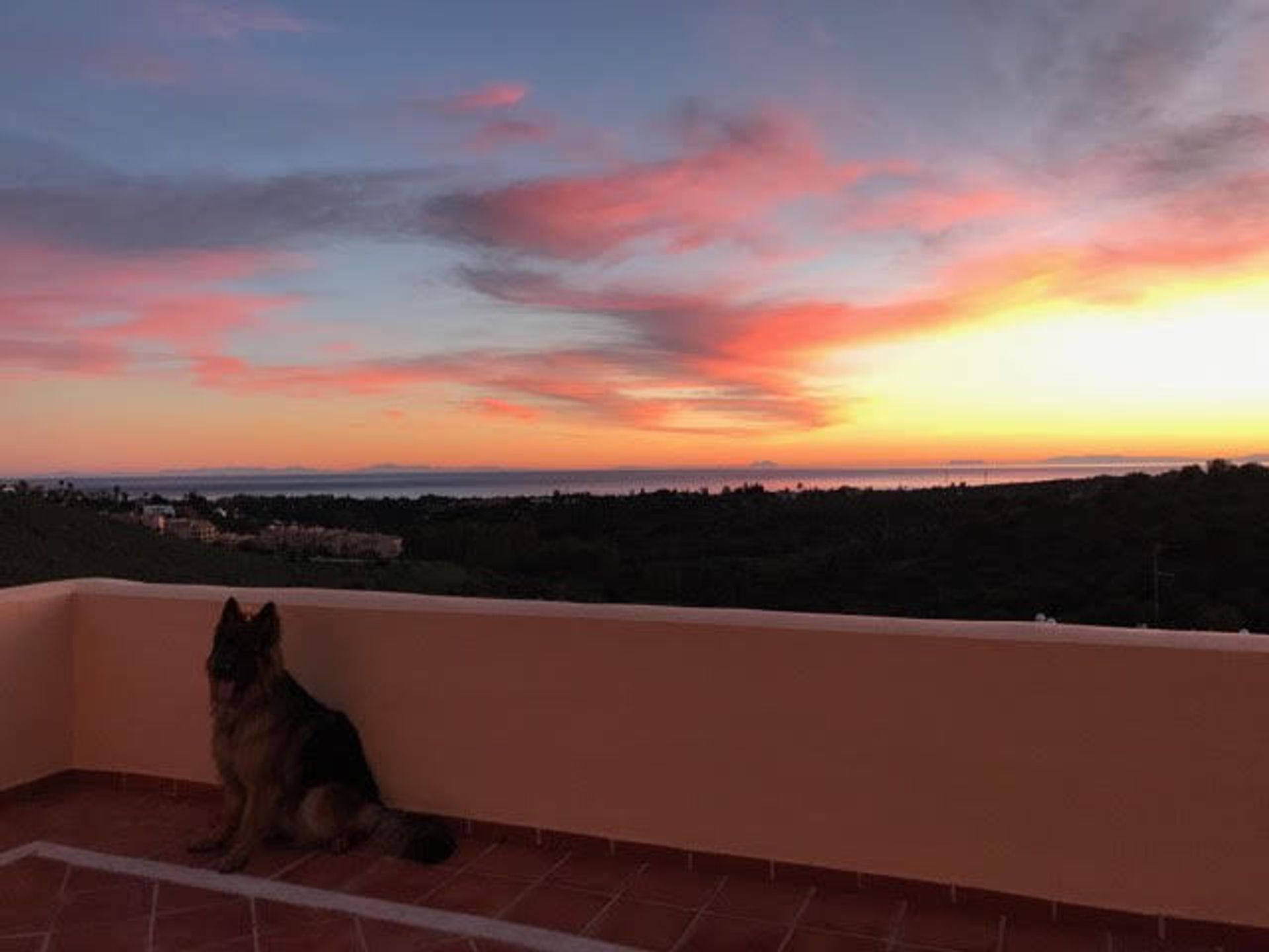 房子 在 Marbella, Andalucía 10195312