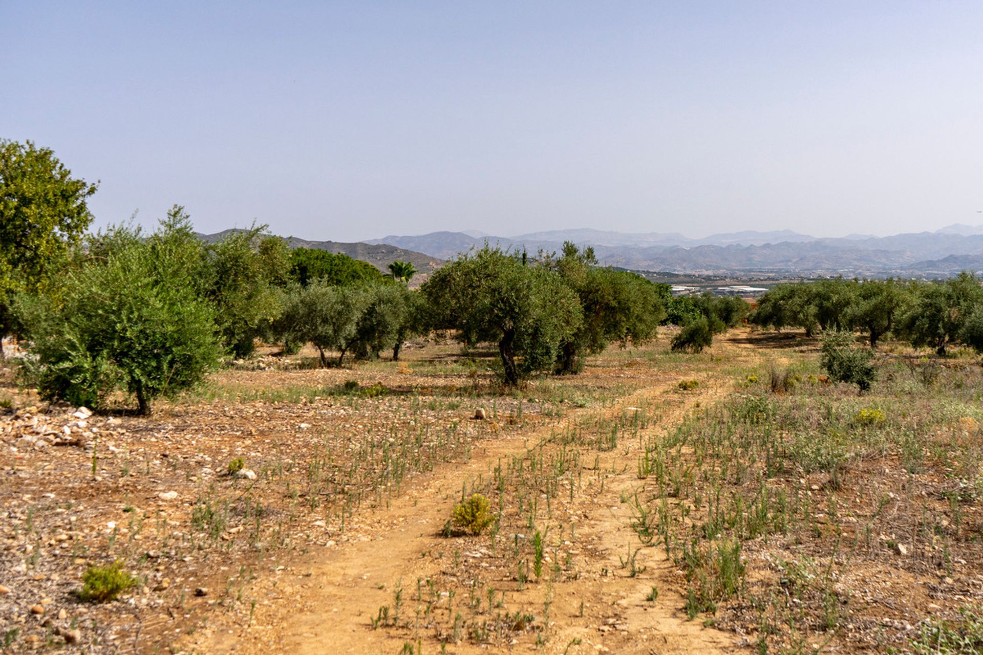 Земля в Alhaurin de la Torre, Andalusia 10196376