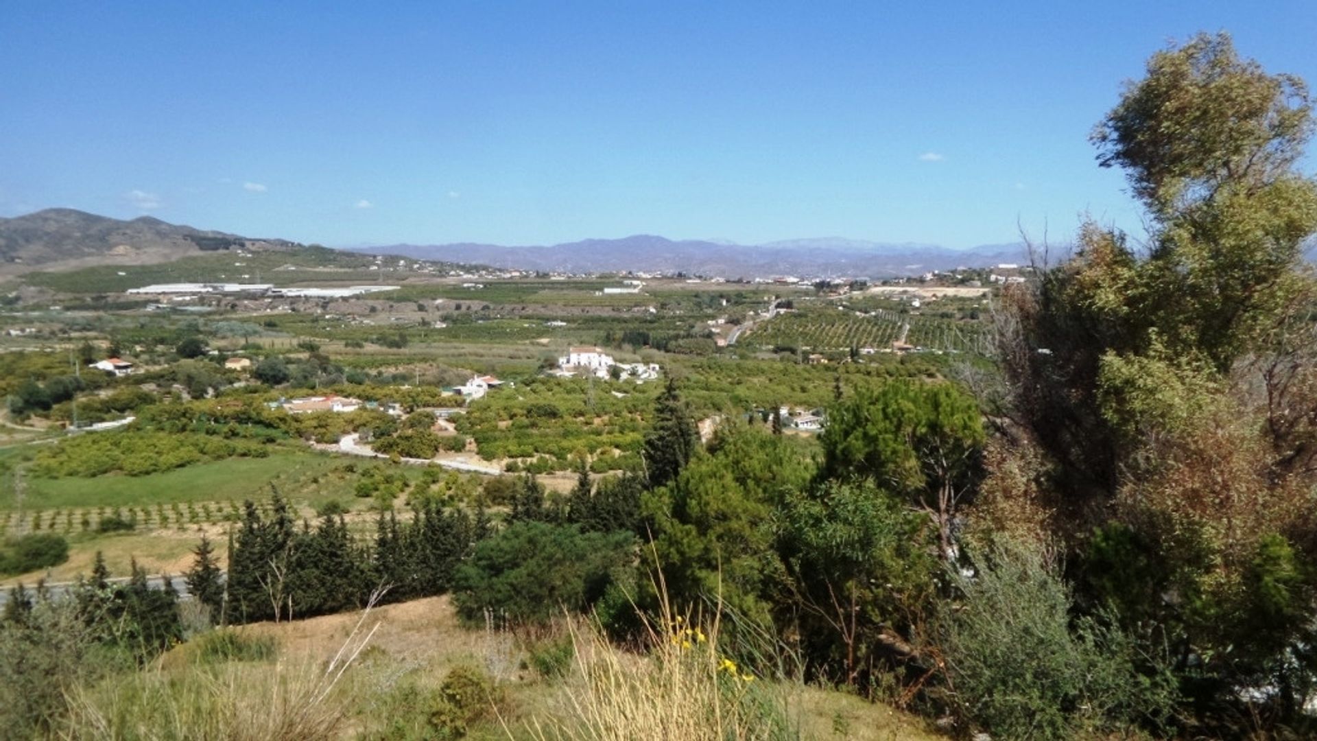 Maa sisään Alhaurín de la Torre, Andalucía 10196377