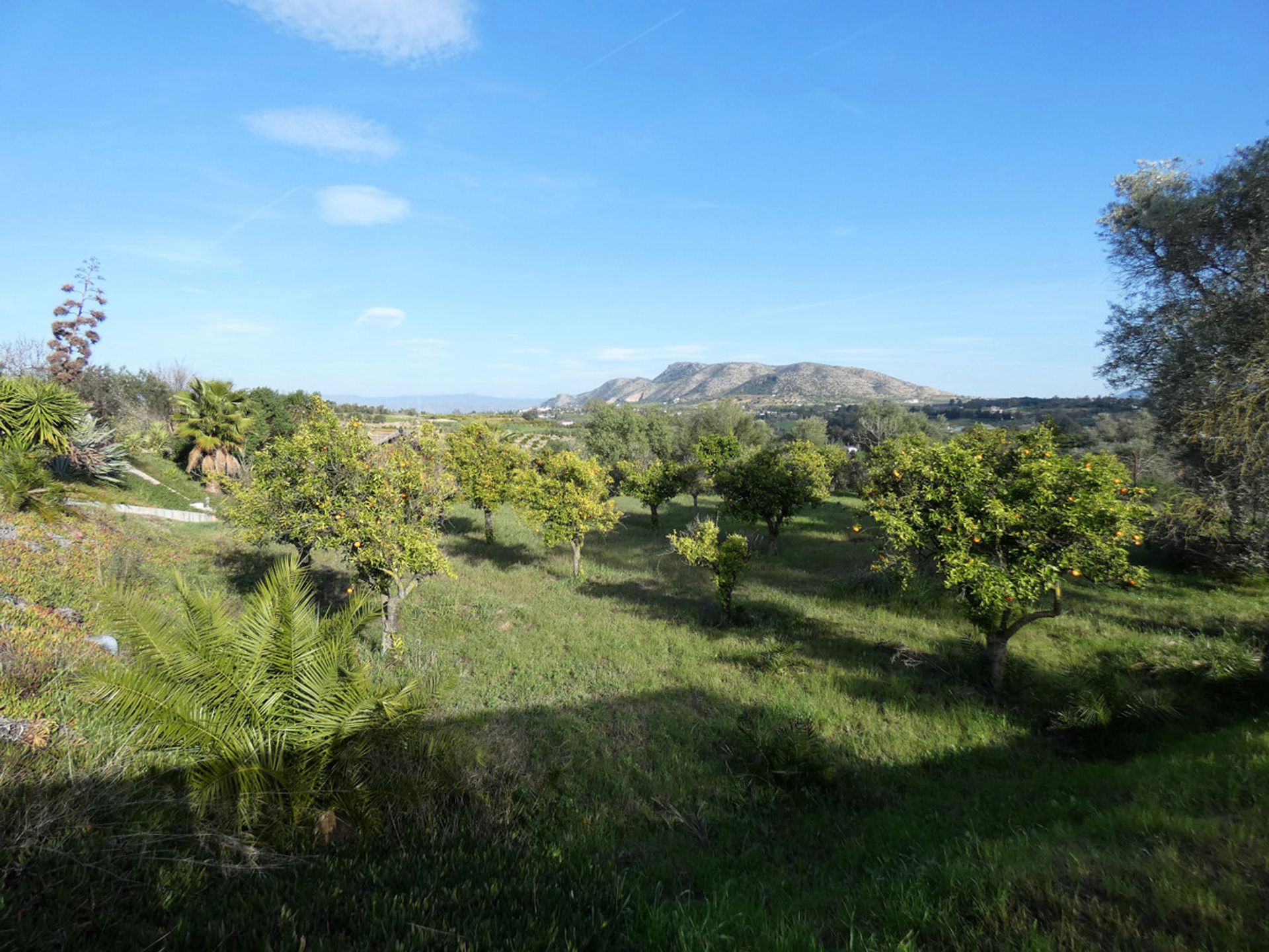 loger dans Alhaurín el Grande, Andalusia 10196388