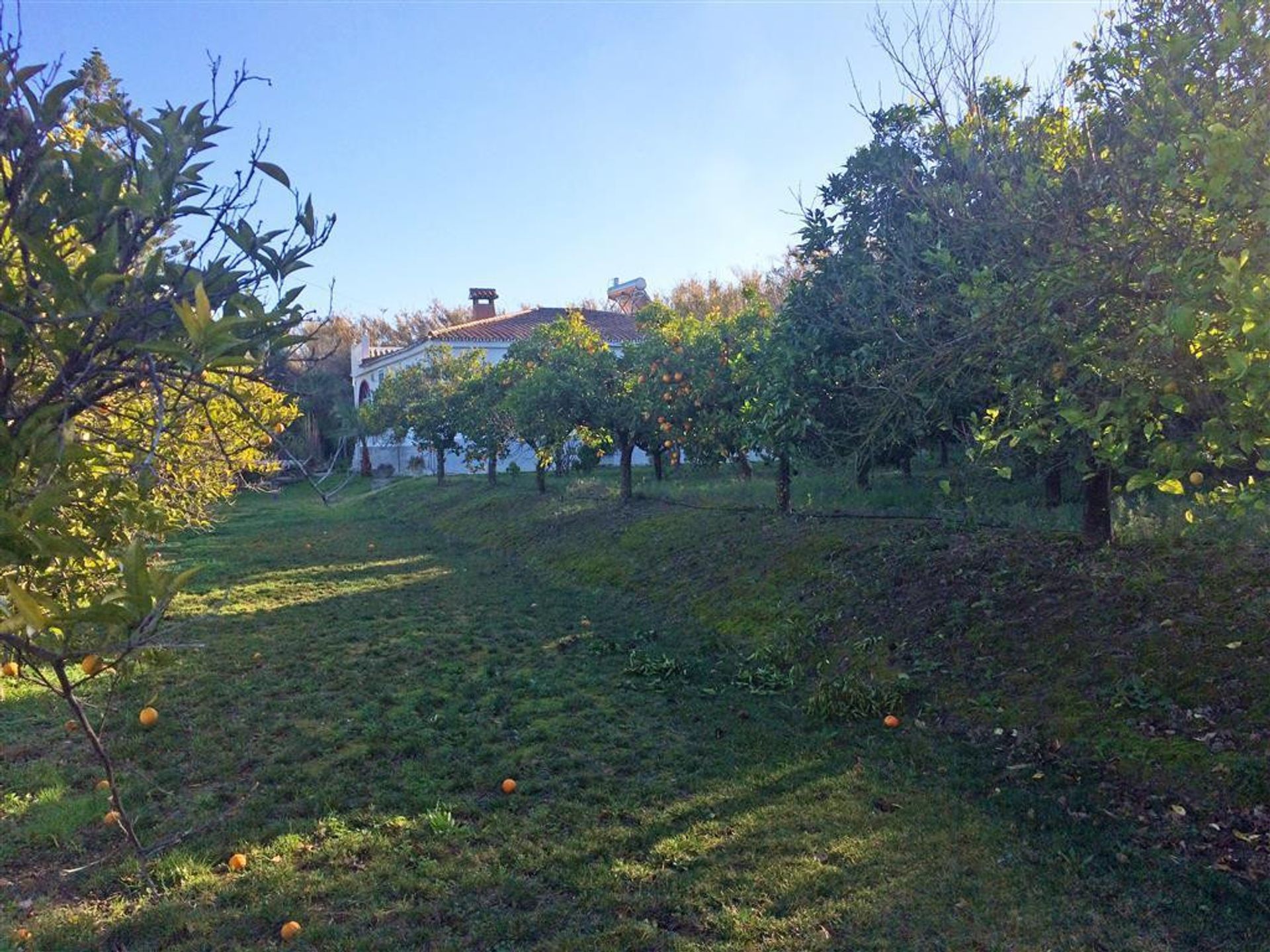 Haus im Alhaurín el Grande, Andalucía 10196406