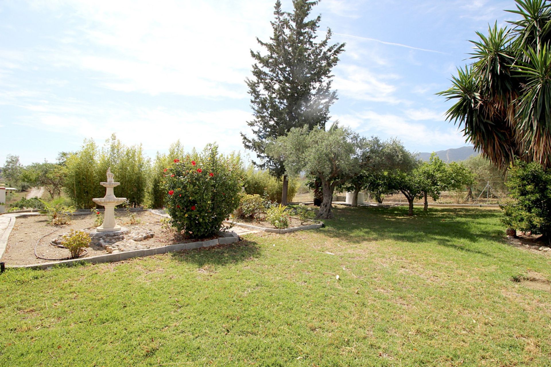 casa en Alhaurín el Grande, Andalucía 10196429