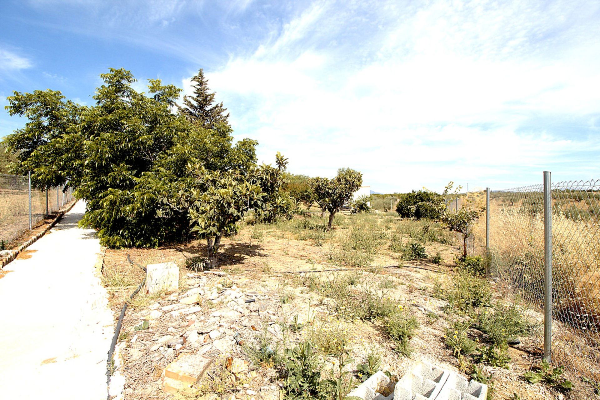 casa en Alhaurín el Grande, Andalucía 10196429