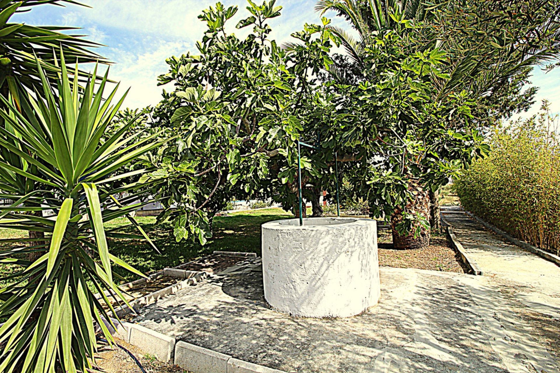 casa en Alhaurín el Grande, Andalucía 10196429