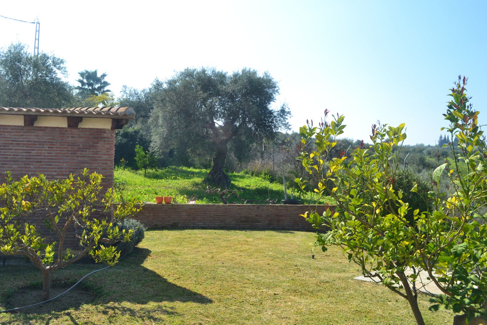 Hus i Alhaurín el Grande, Andalucía 10196432