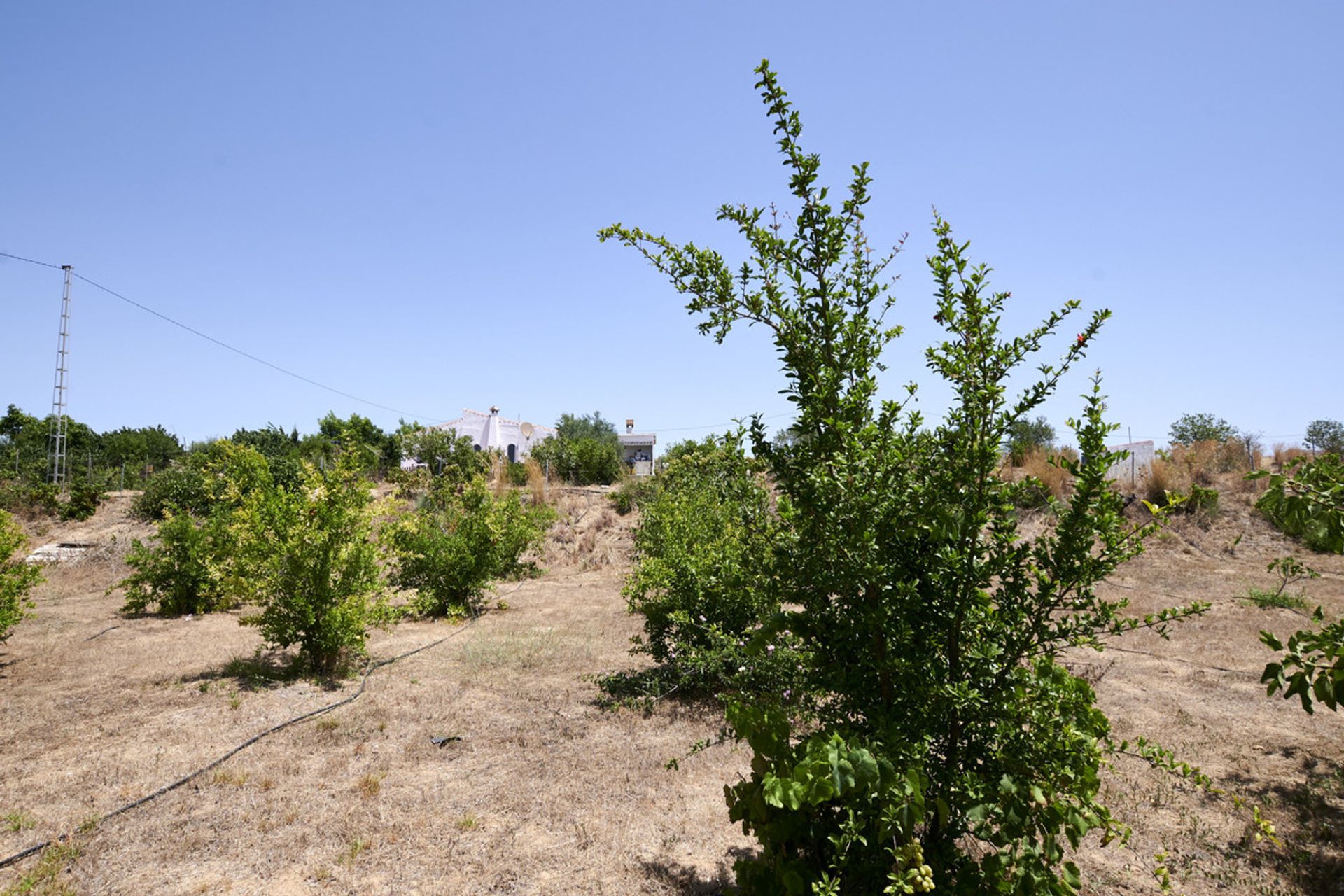 Huis in Alhaurín el Grande, Andalusia 10196438