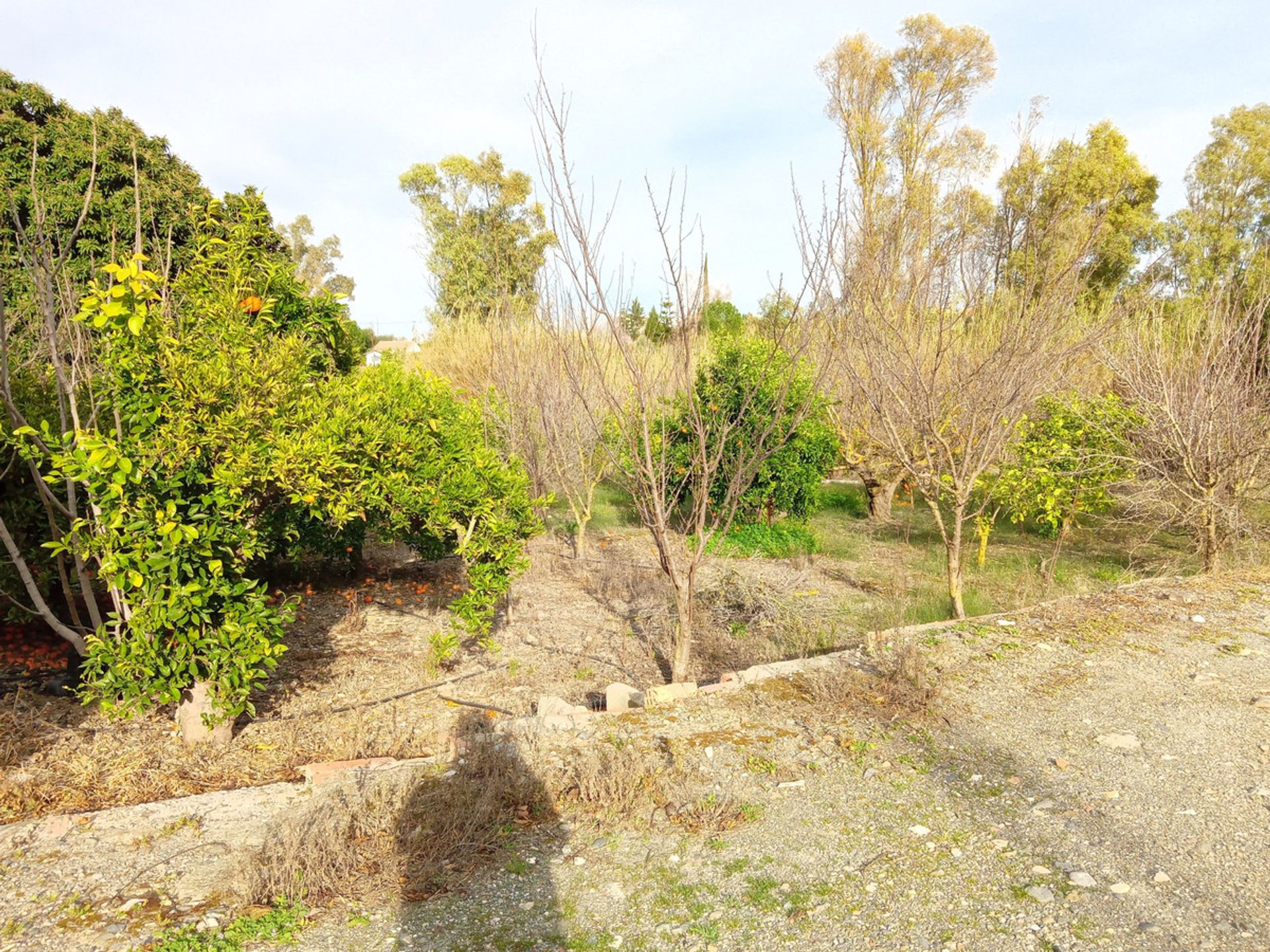 rumah dalam Alhaurín el Grande, Andalucía 10196443