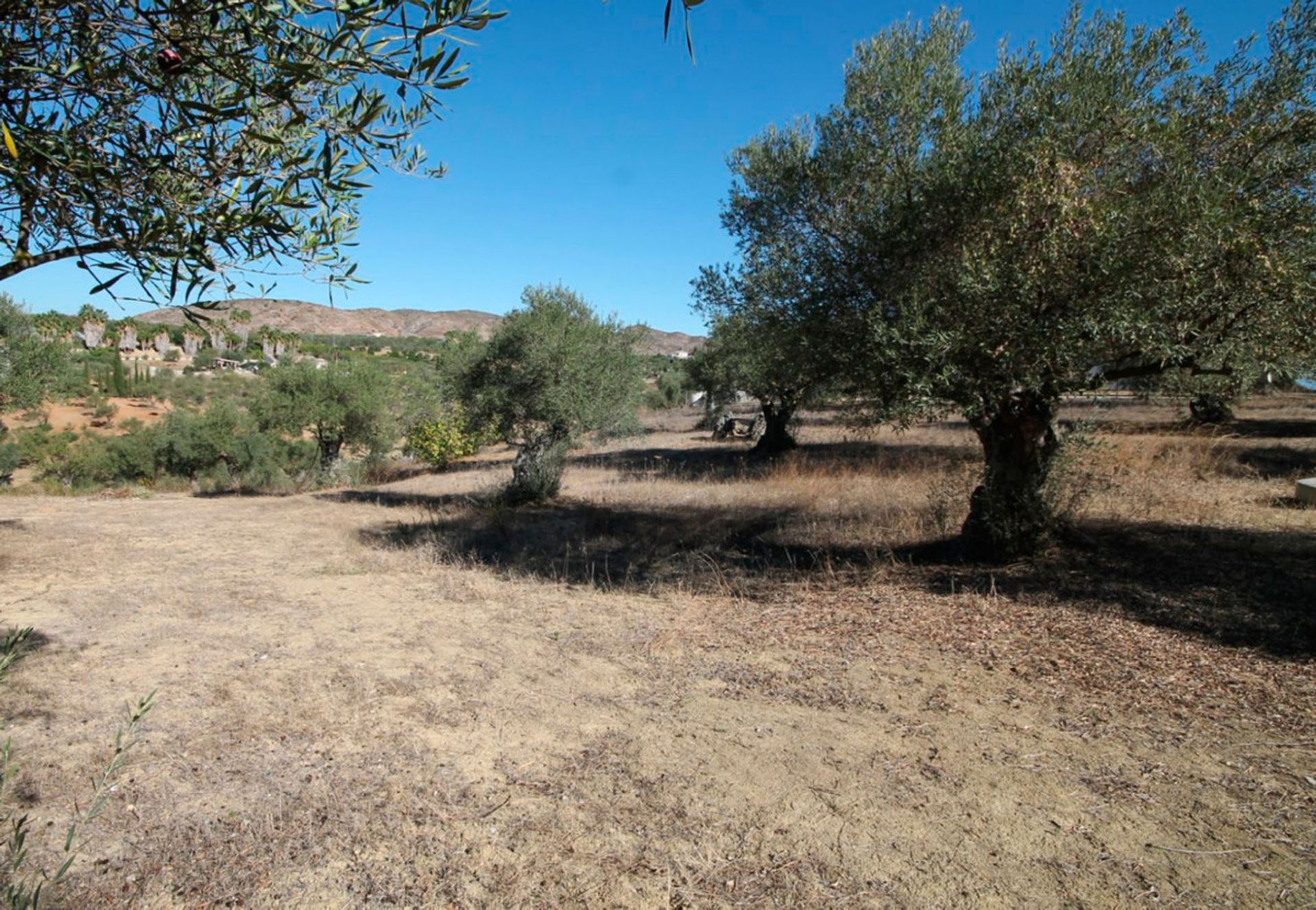 rumah dalam Alhaurín el Grande, Andalucía 10196489