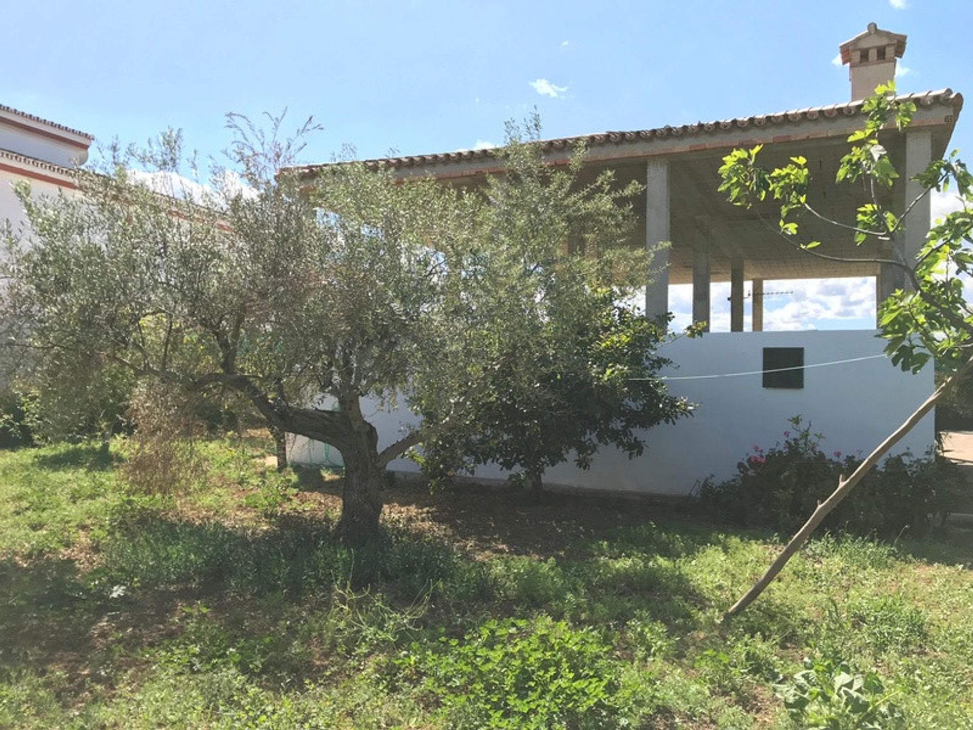 Tierra en Alhaurín el Grande, Andalucía 10196524