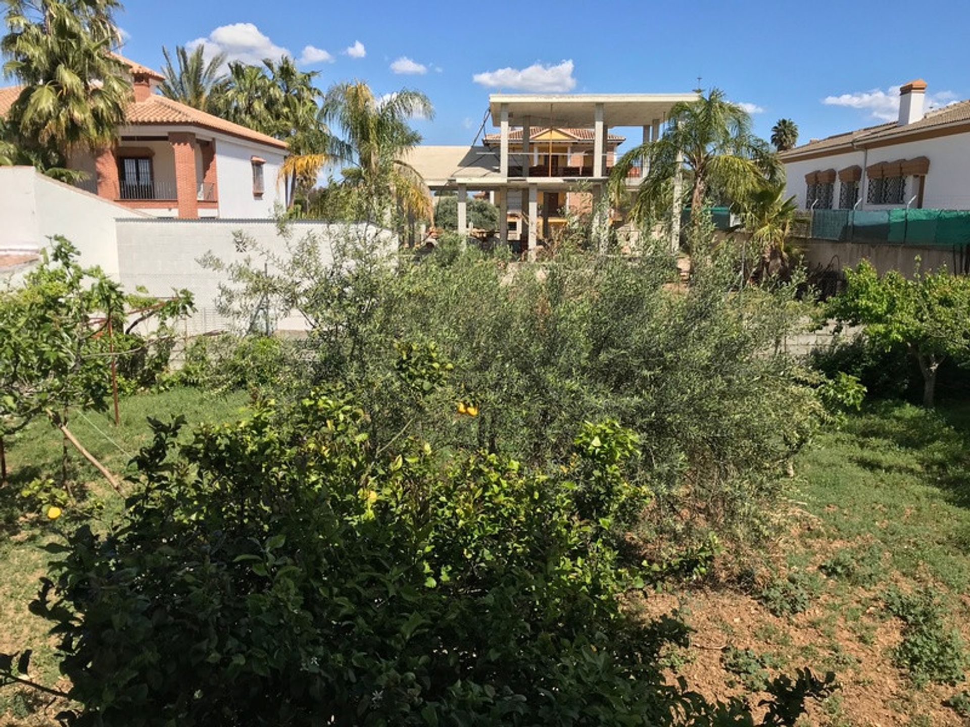 Tierra en Alhaurín el Grande, Andalucía 10196524