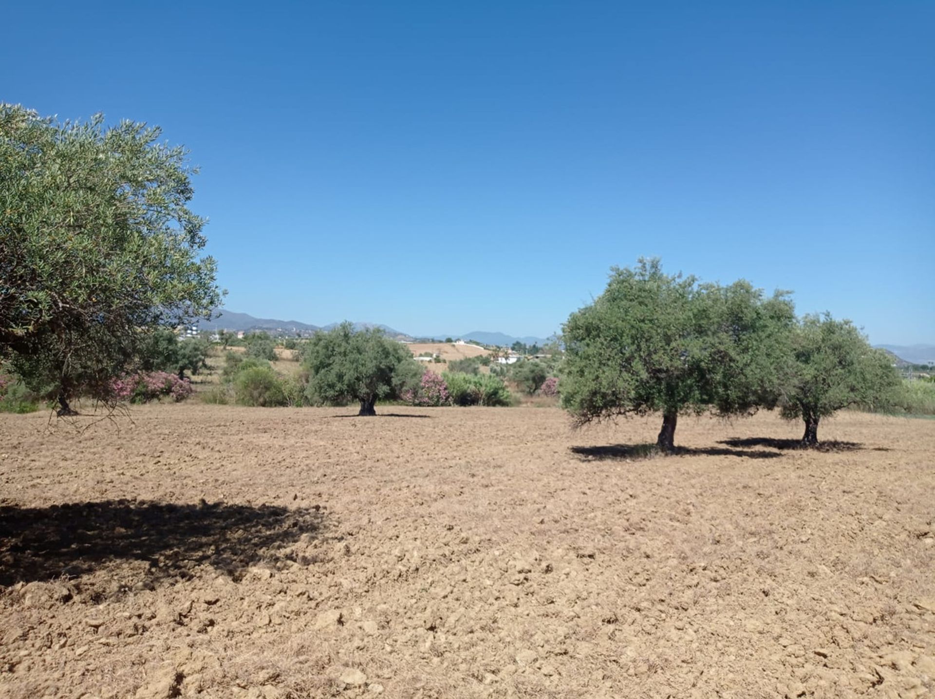 भूमि में Alhaurín el Grande, Andalusia 10196530