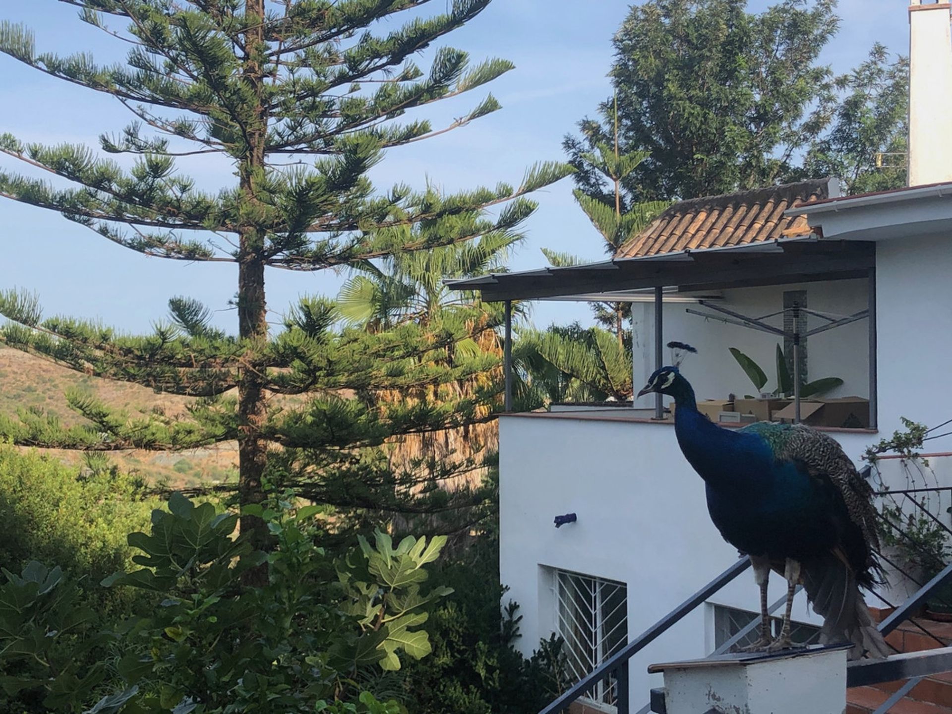 House in Benahavís, Andalucía 10197070